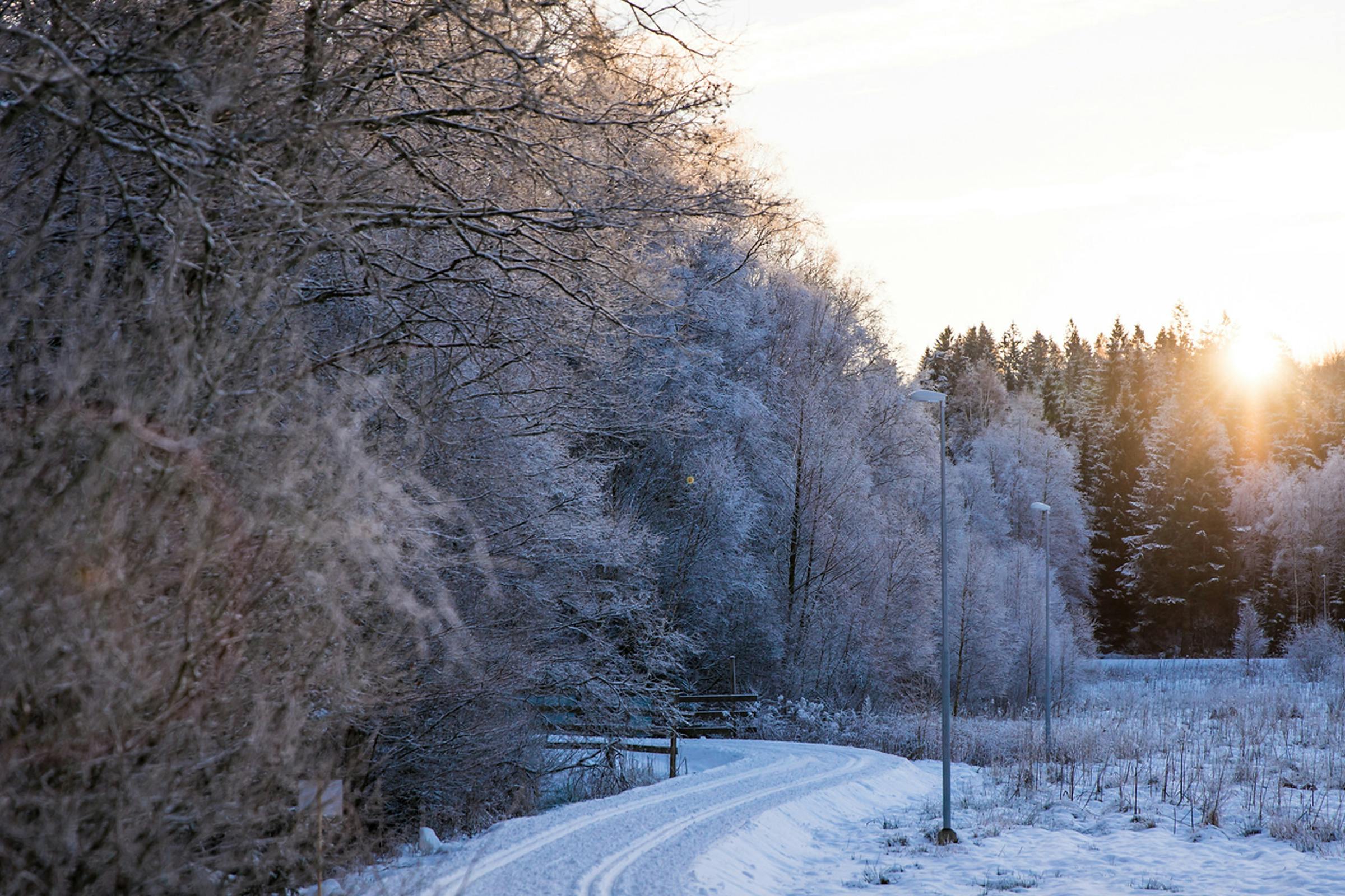 Skidspår för längdåkning i gnistrande skog i Åkulla, Halland.