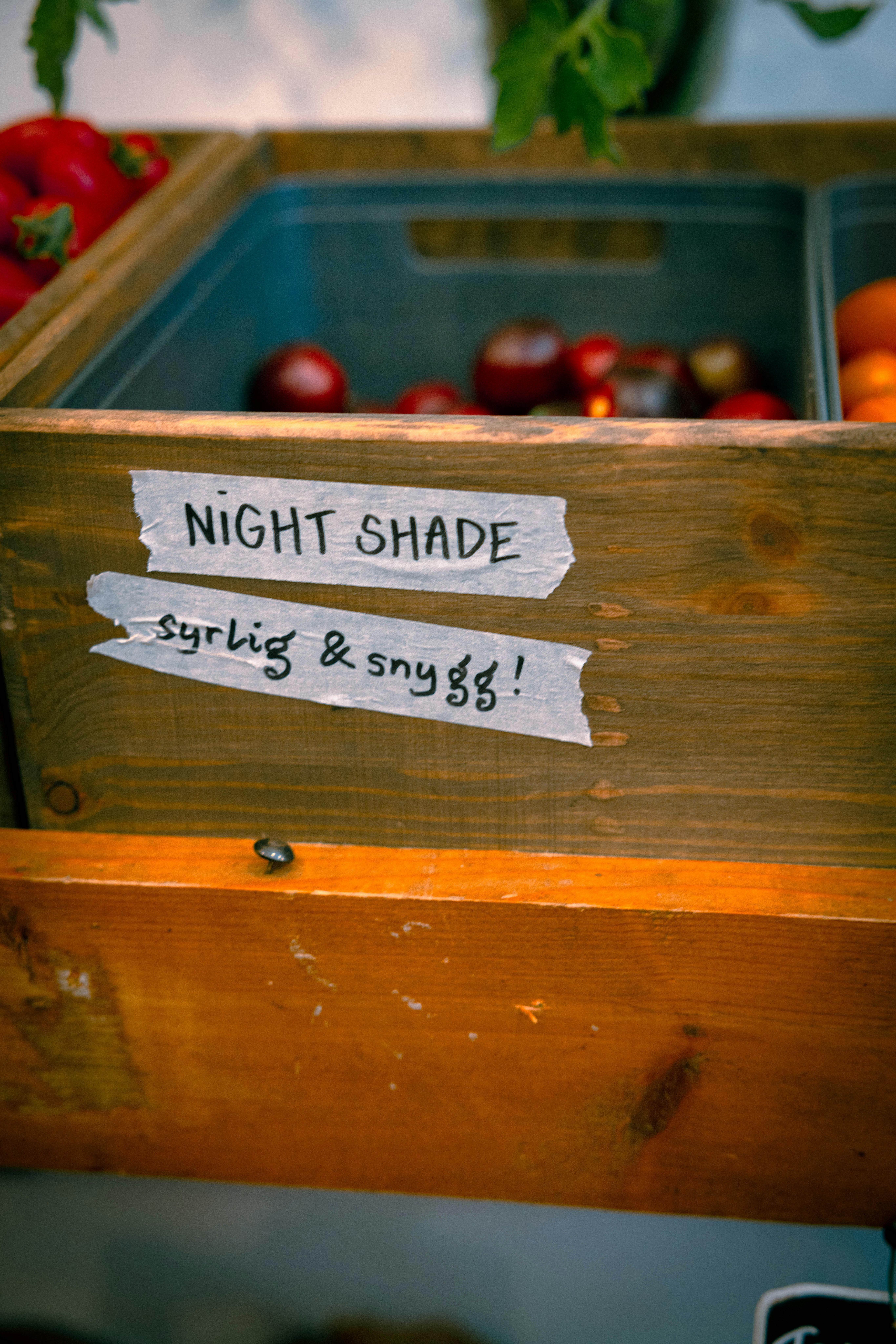 Nahaufnahme einer Kiste mit Tomaten