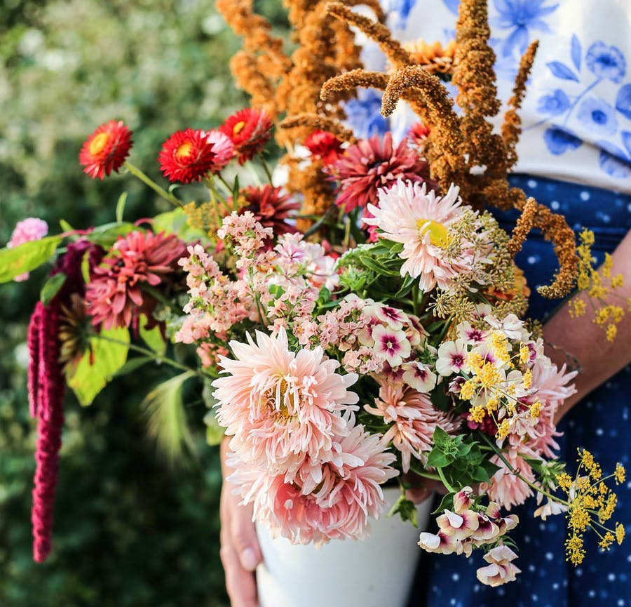 Ett fång med färgglada blommor.