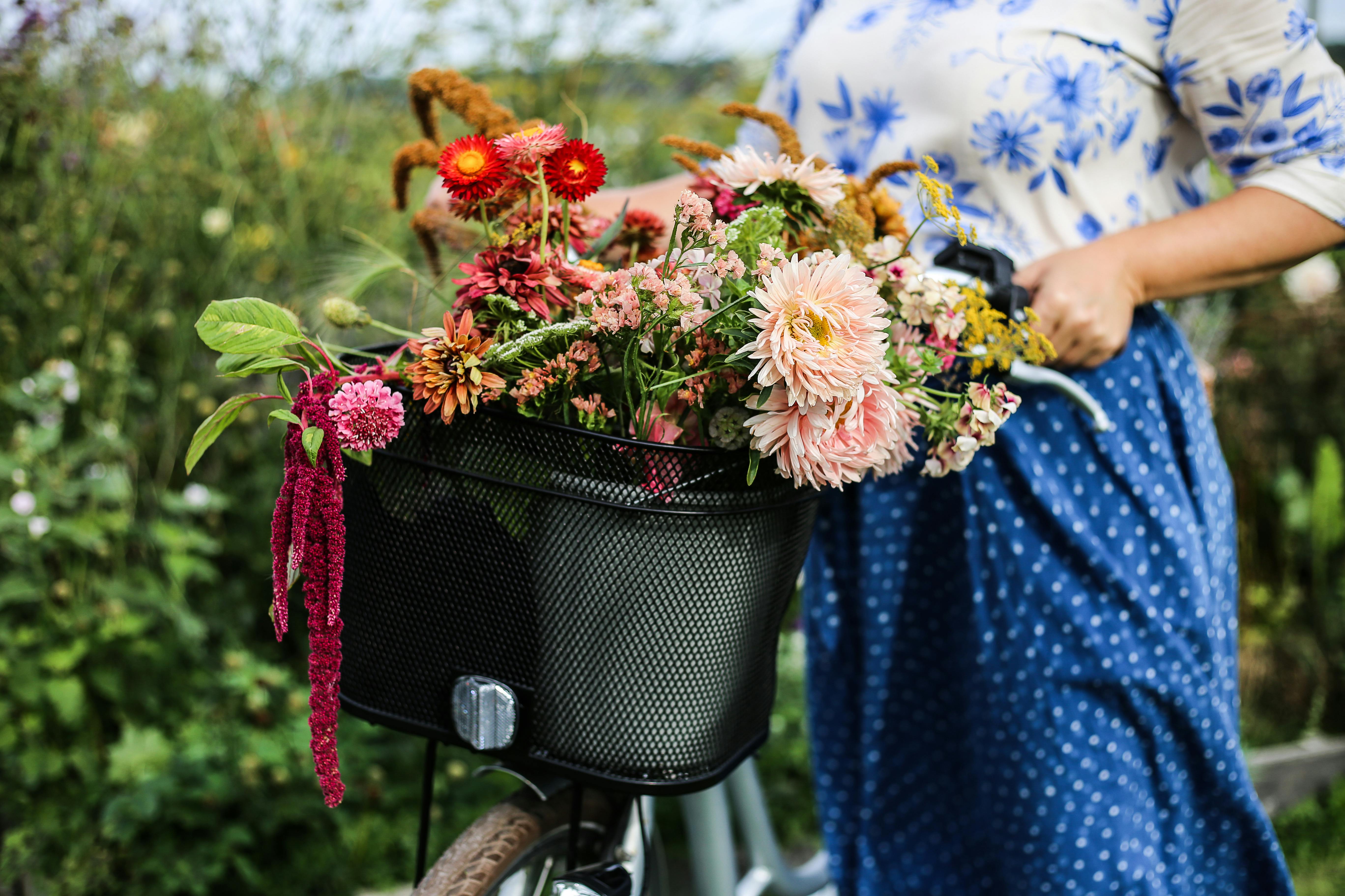 Ett fång med blommor plockade längs med Kattegattleden.