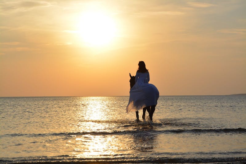 Häst och ryttare står i havet i solnedgången