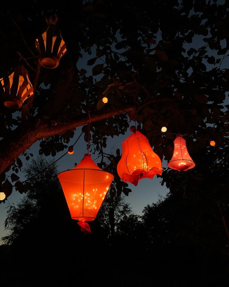 Lyktor i trädet på Ljusfest i Morup i Halland.