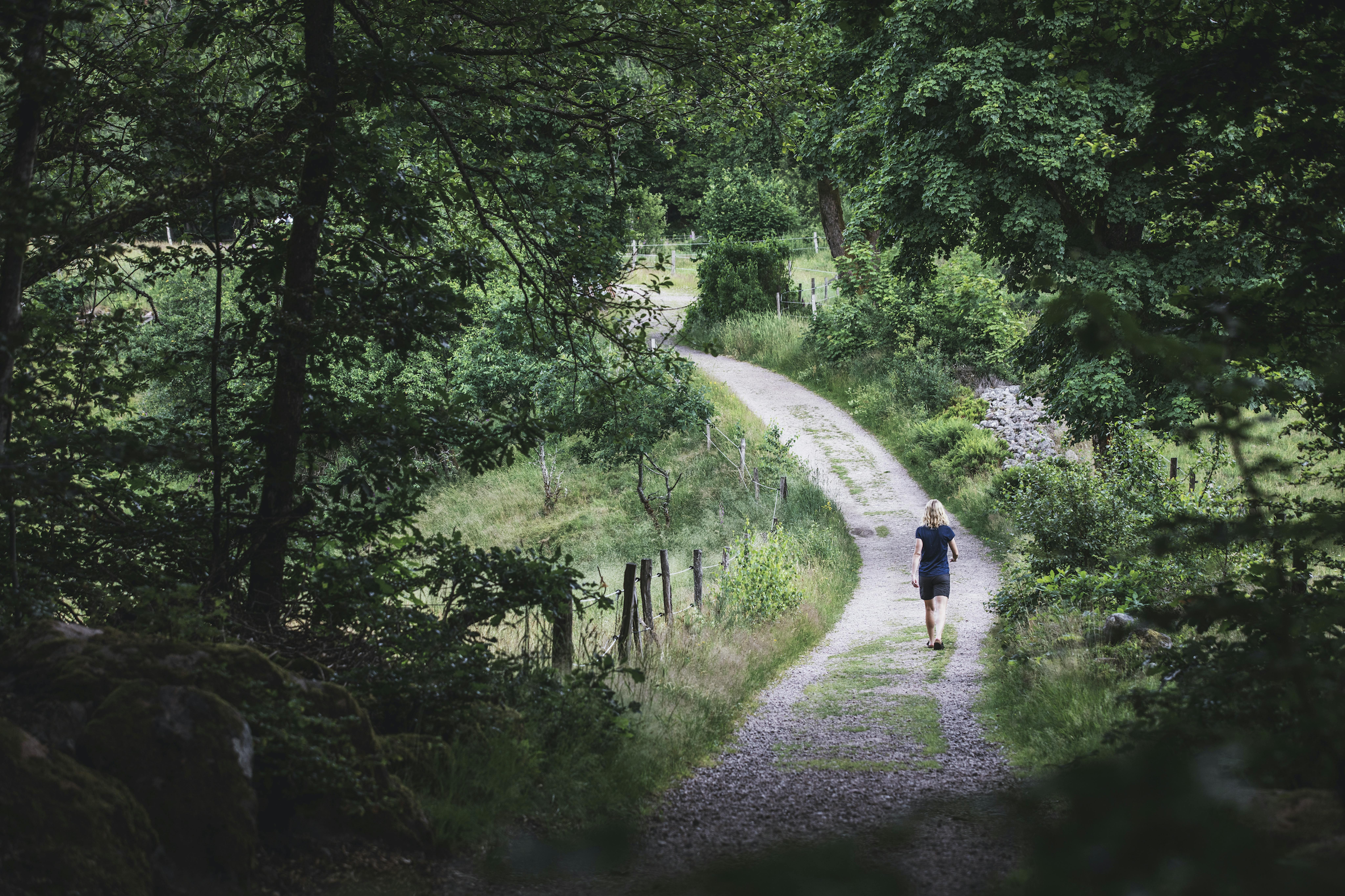 Frau spaziert am Hallandsleden durch Wälder und übers Land.