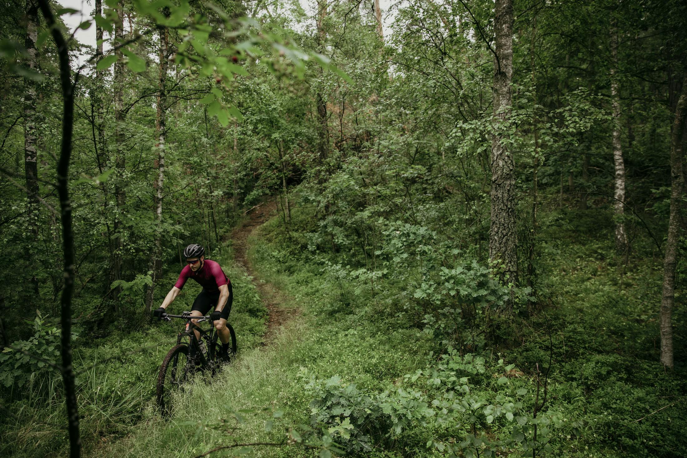 En cyklist cyklar Mtb mitt i skogen i Halland.