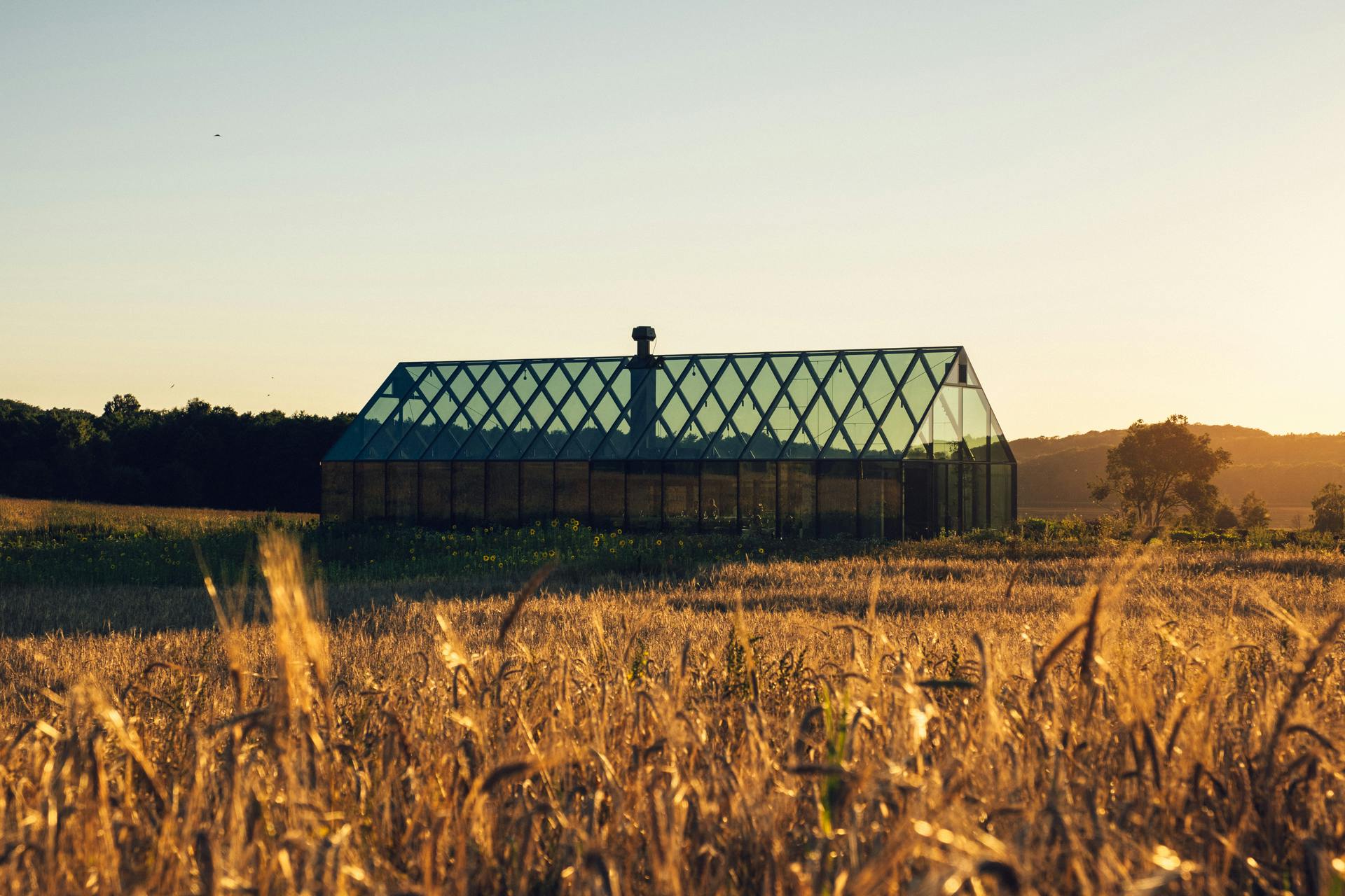 Restaurang ÄNG på Ästad vingård, Halland.