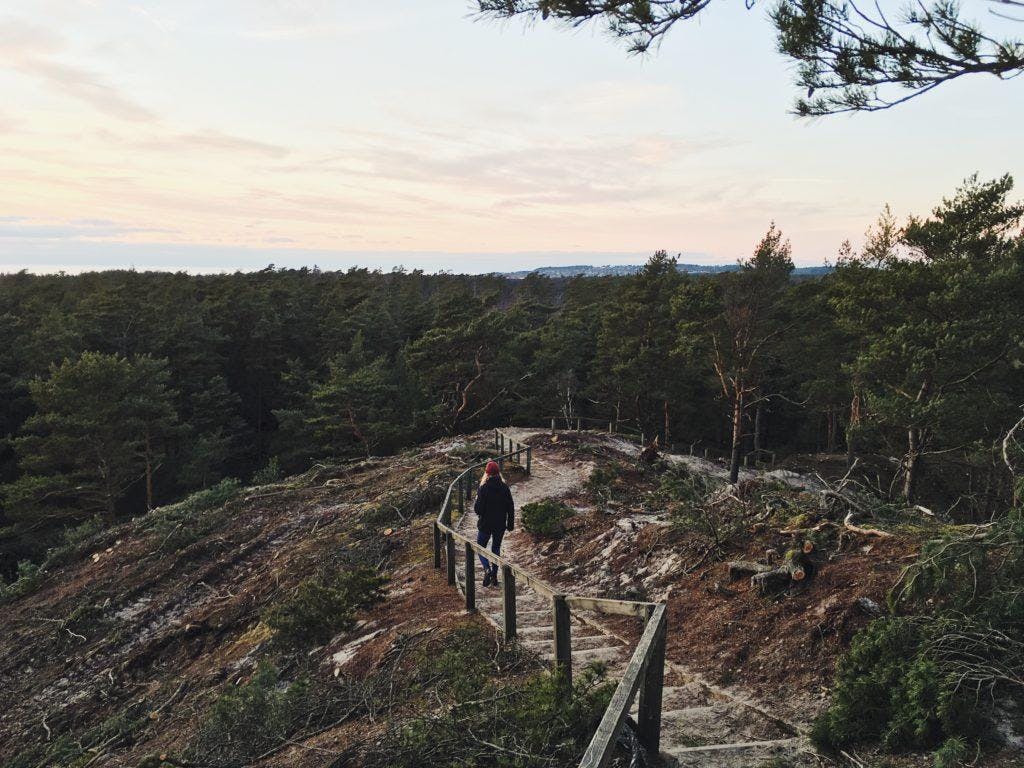En person är på väg ner för den branta trappan som leder upp till Lynga Sanddyna.