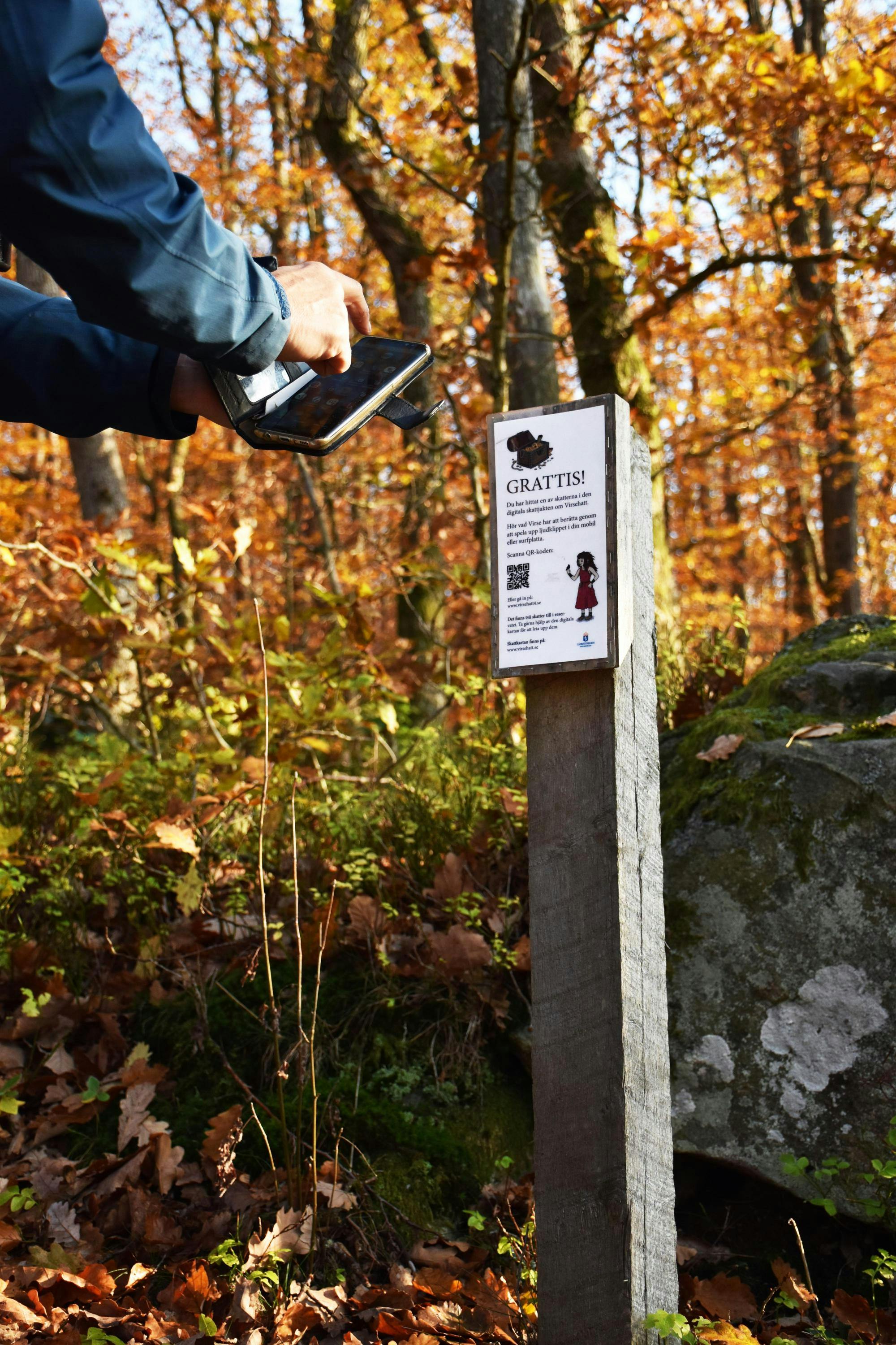 En person håller upp en mobiltelefon för att läsa av en QR-kod i en digital skattjakt på Virsehatt.