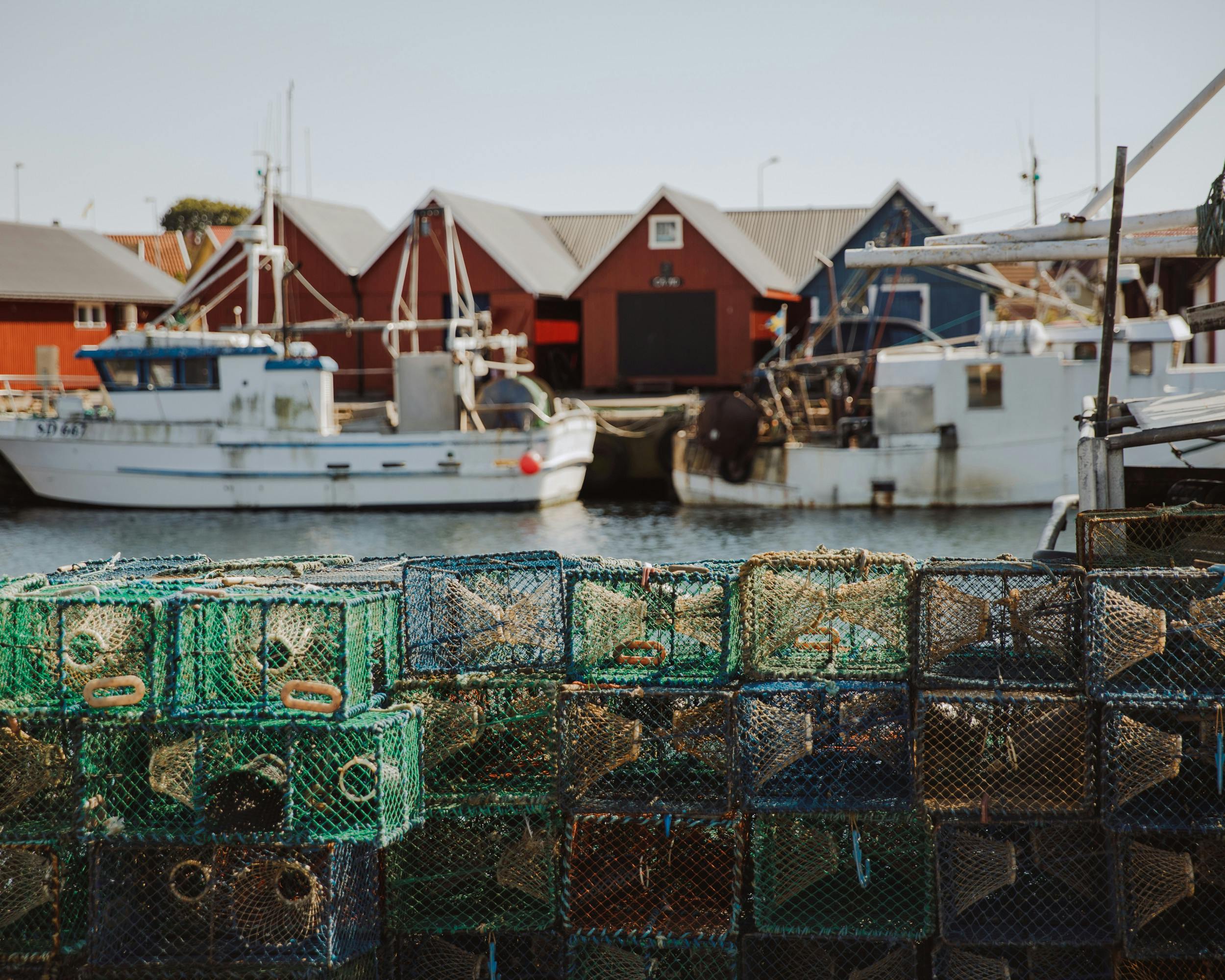 Gestapelte Fangkörbe für Krebse im Vordergrund, dahinter der Hafen von Trävslövläge