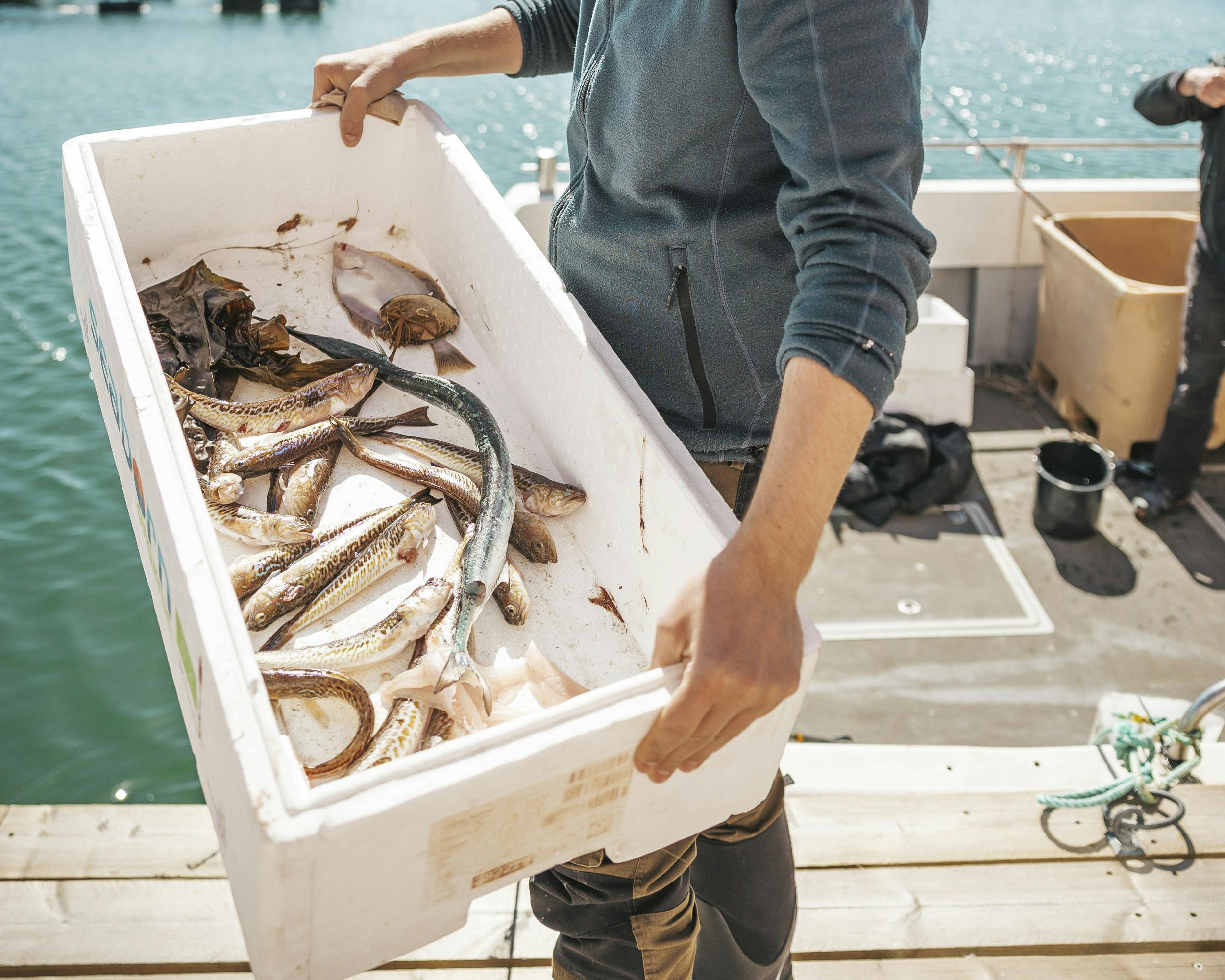 Fischer zeigt seinen Fang.