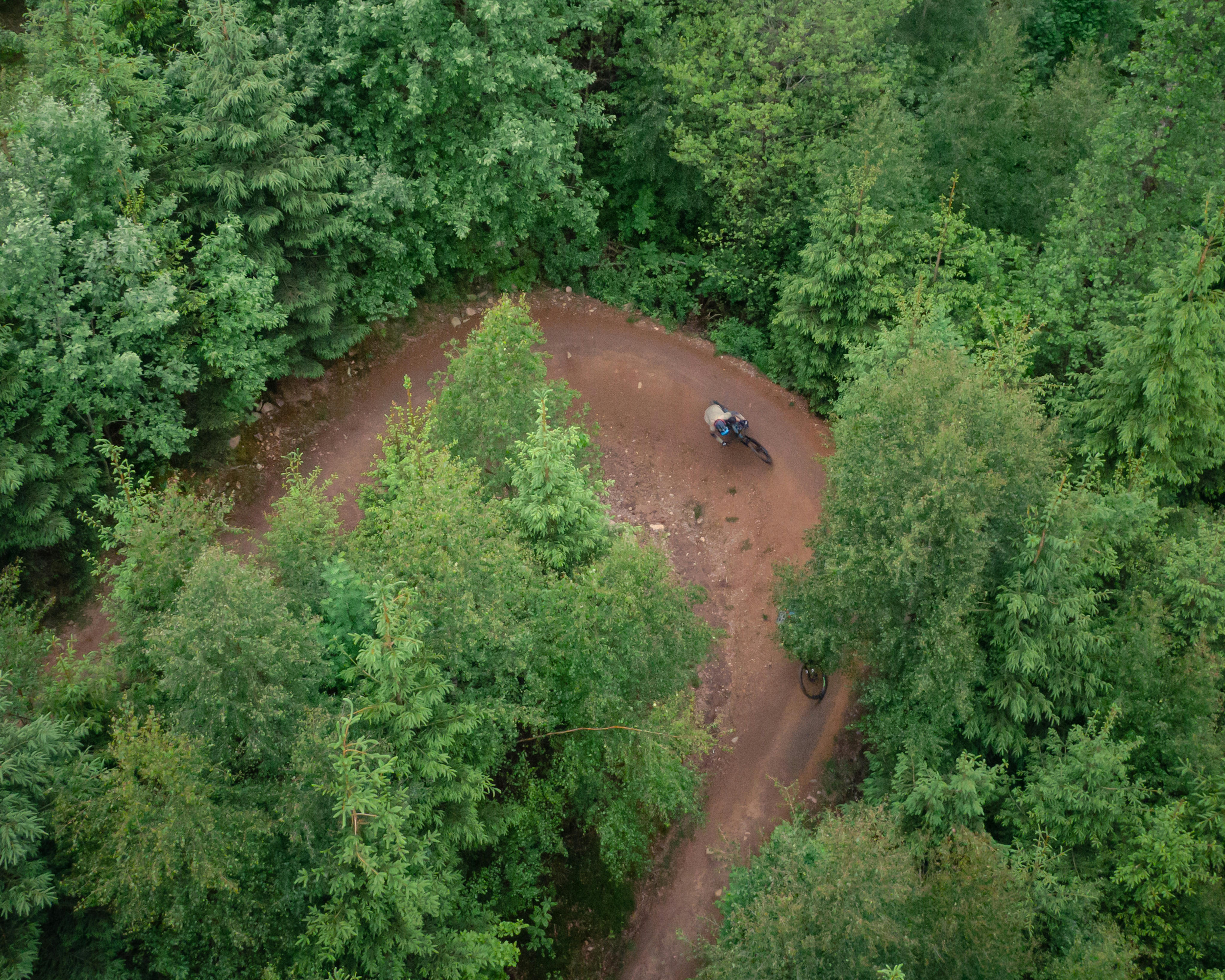 Blick aus der Vogelperspektive auf eine Person beim Mountainbiking im Wald.