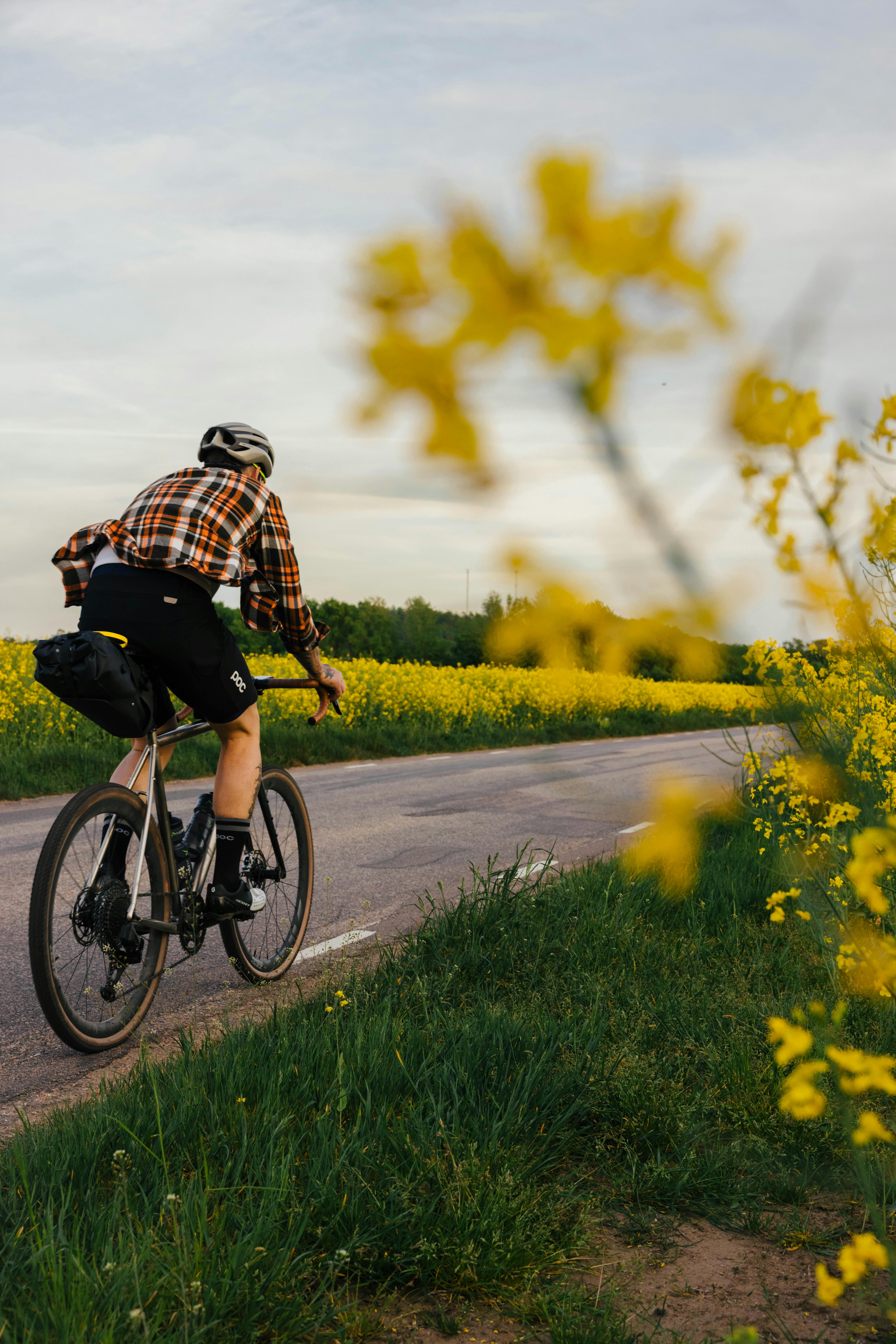 Mann auf Rennrad radelt vorbei an einem Feld gelber Blumen.