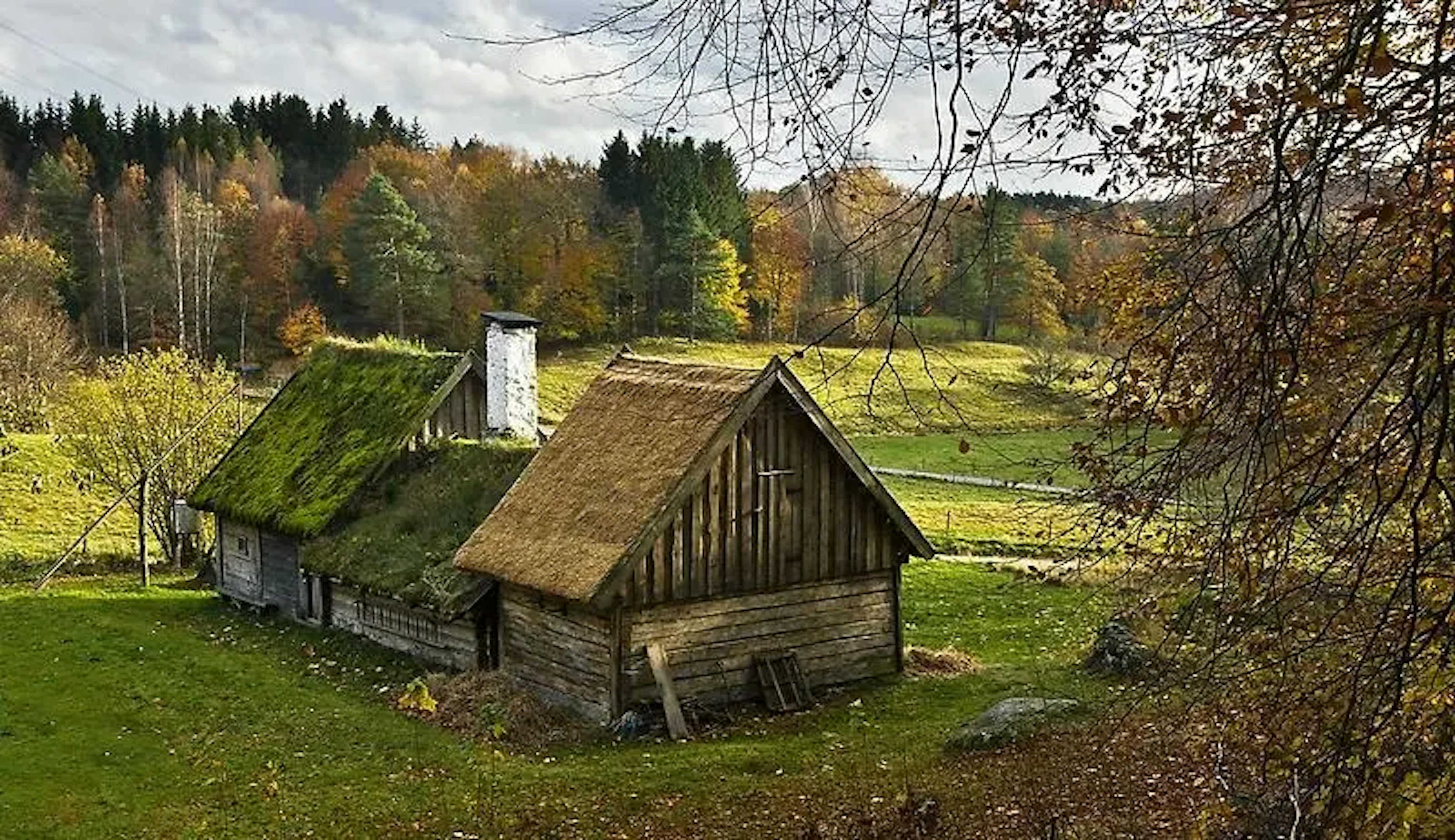 Sehr altes Bauernhaus auf einer Wiese mit Wald im Hintergrund