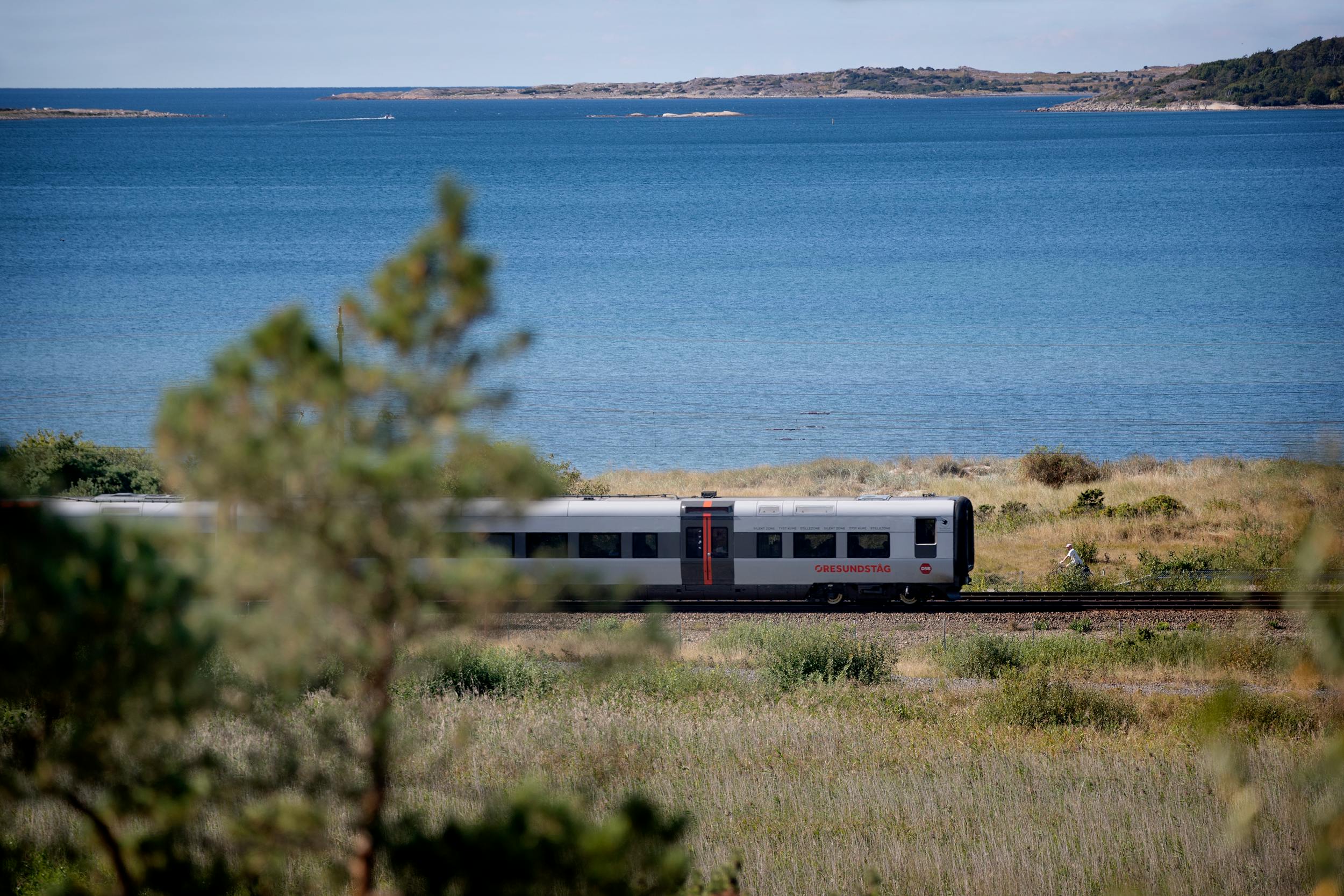Öresundståg fährt im Sonnenschein am Meer entlang.