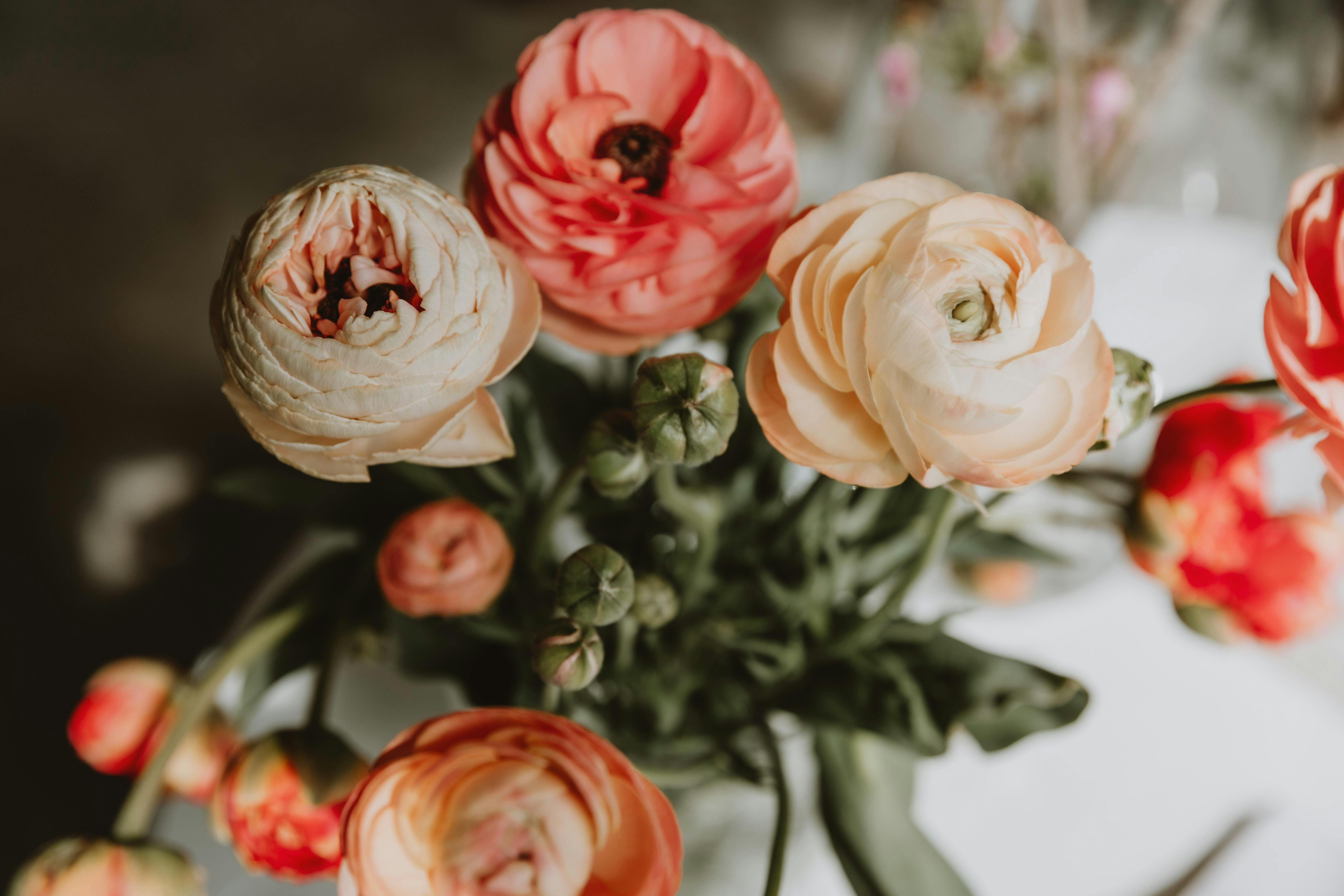 Krickelins te- & diversehandel är en av butikerna på Brukstorget i Varberg