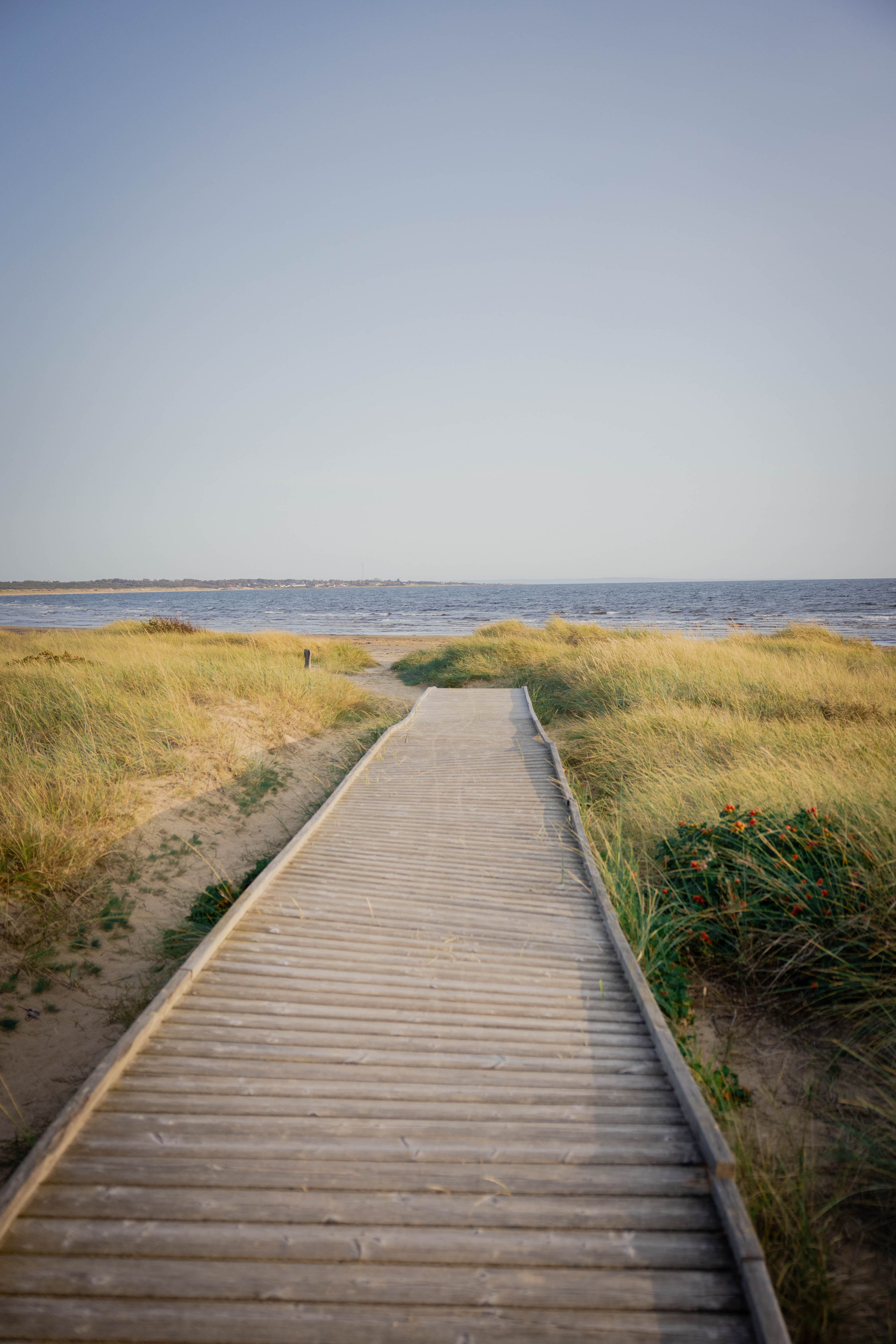 Visit Halland strand Lyngen Halmstad 