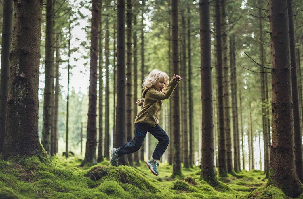 barn i skog i Halland