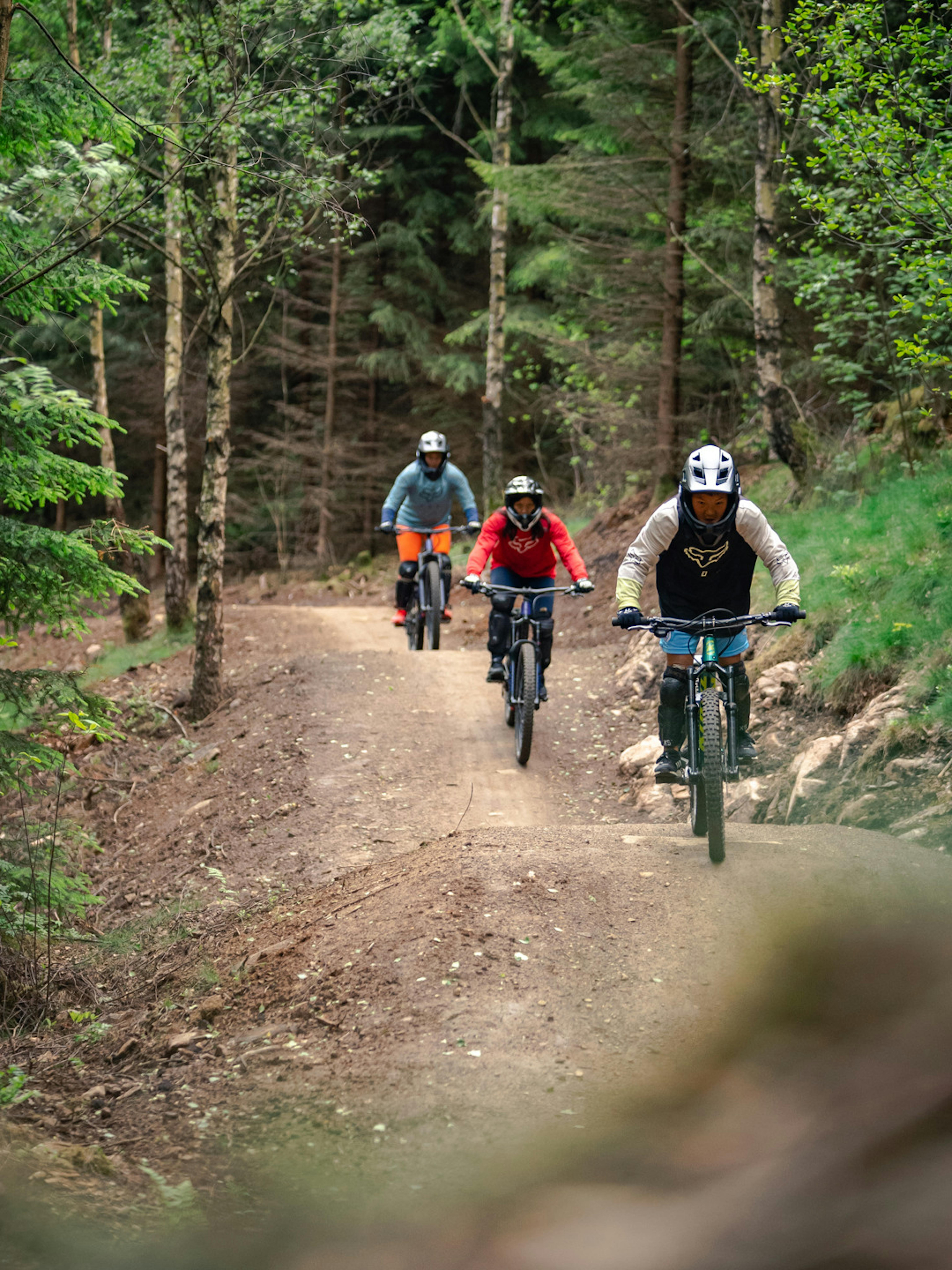 Vallåsen Bikepark