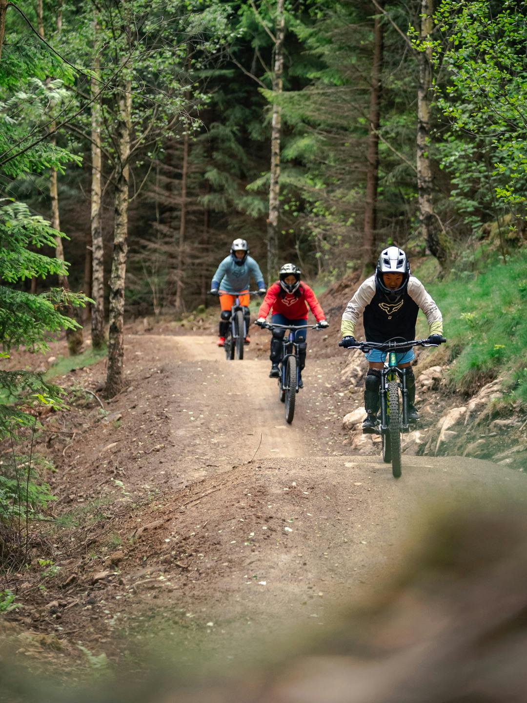 Vallåsen Bikepark