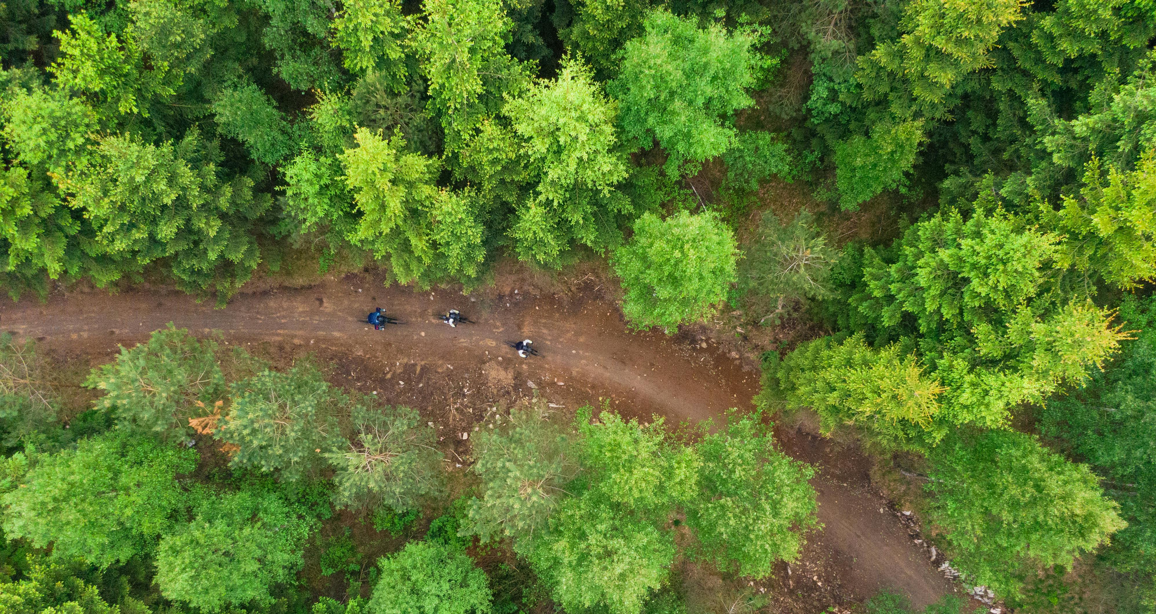 Vallåsen Bikepark