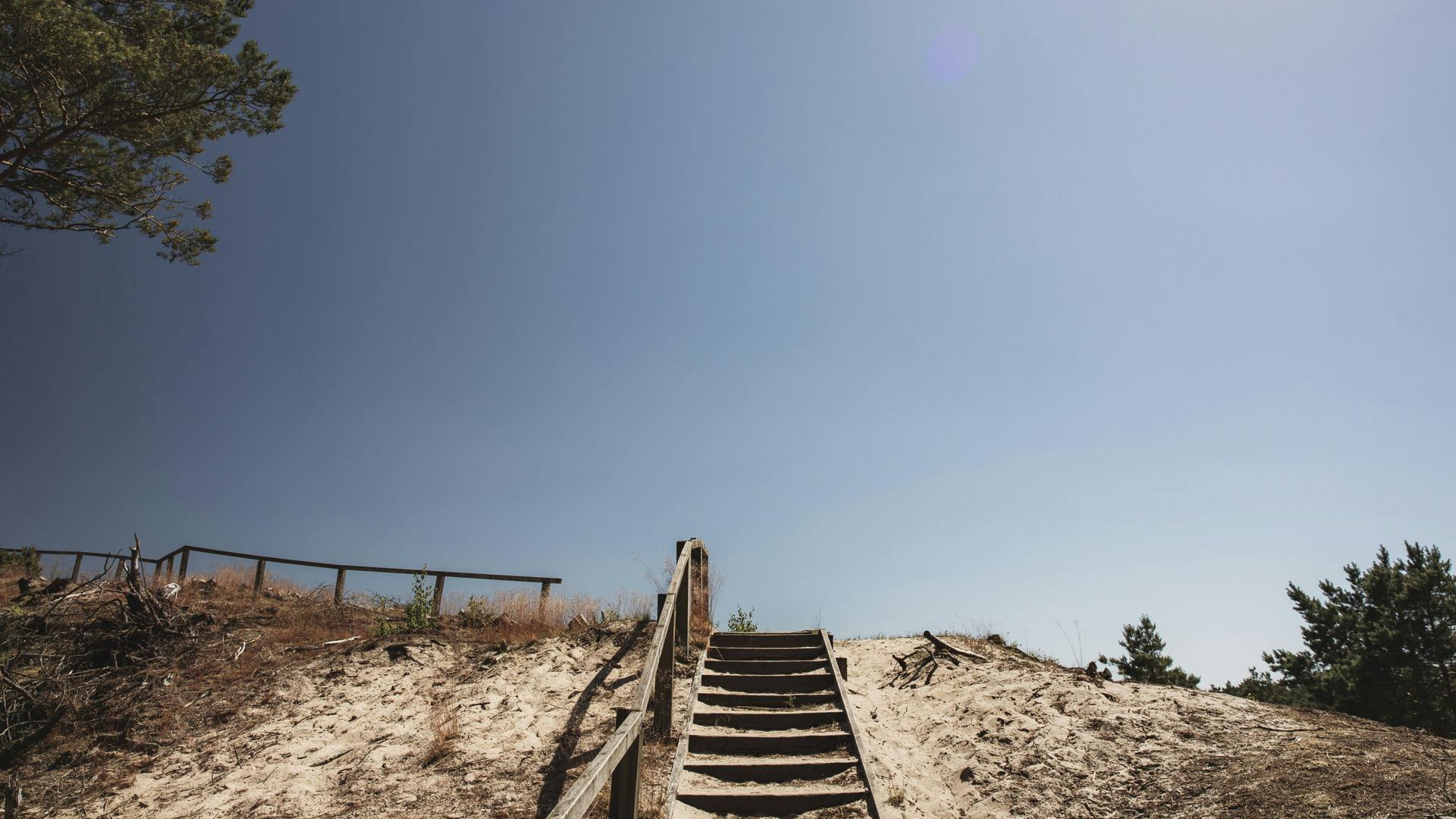 Foto: Alexander Hall