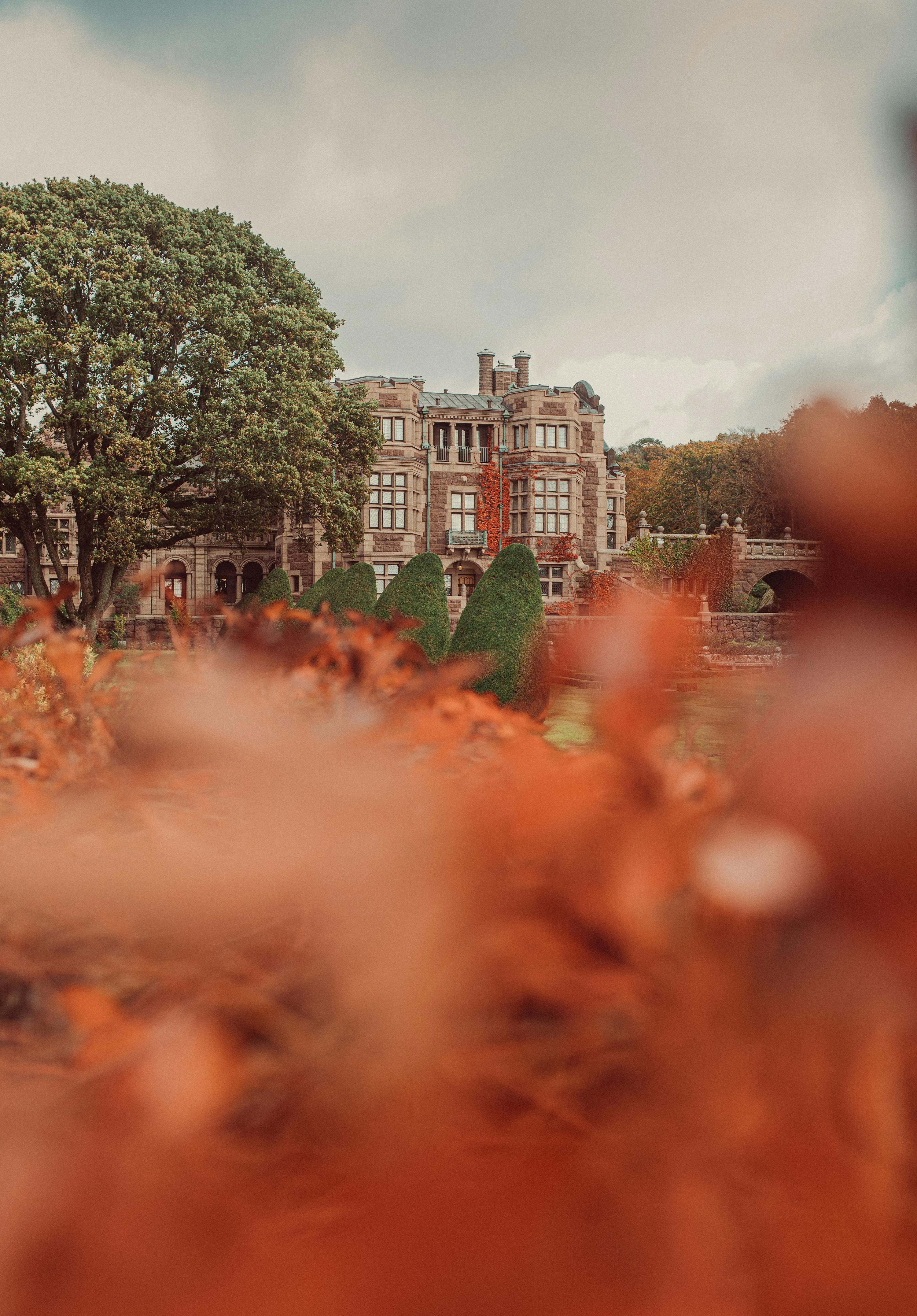 Discover Tjolöholm Castle in its autumn splendor.