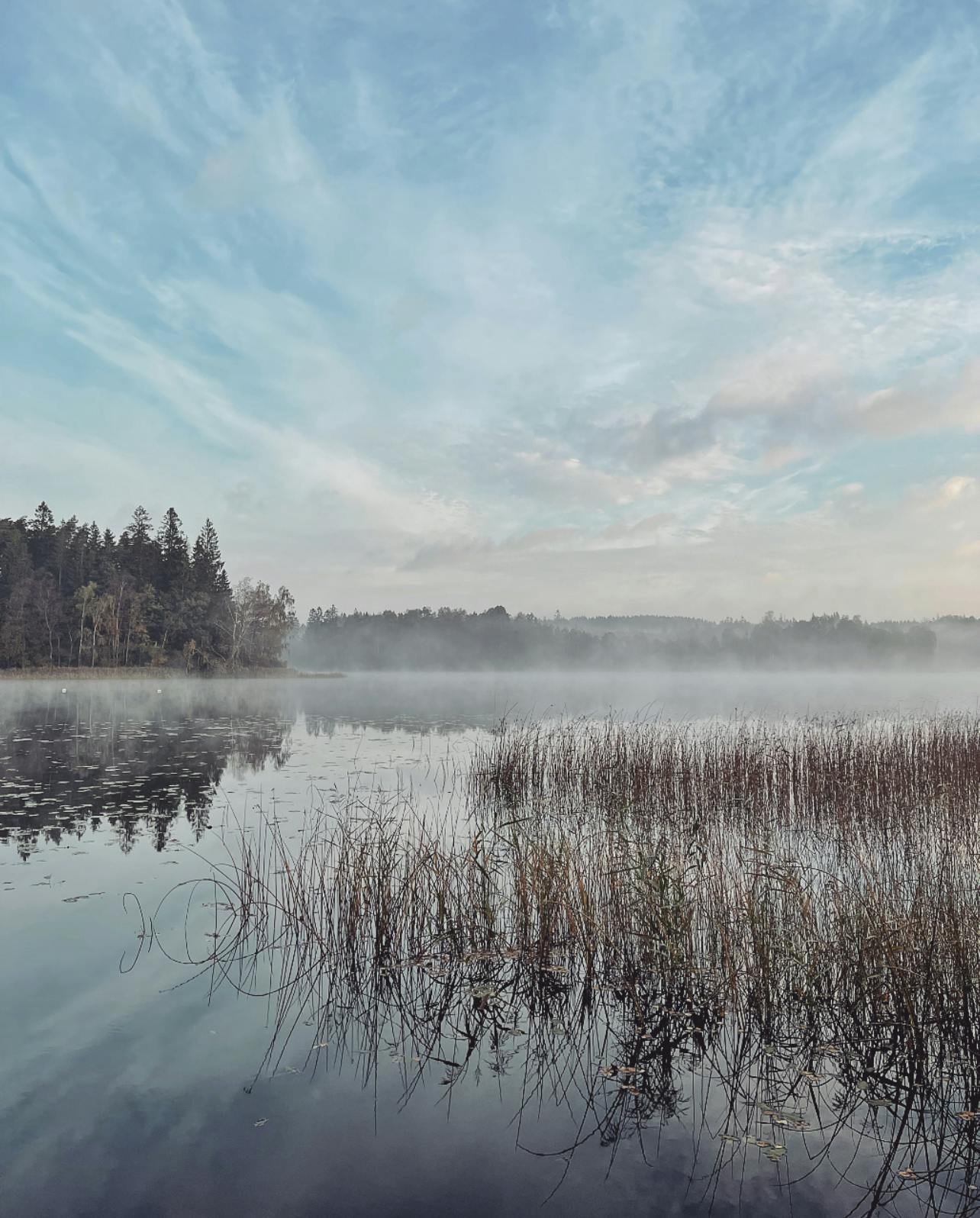 Vacker vandring runt Yasjön i Åkulla, Halland