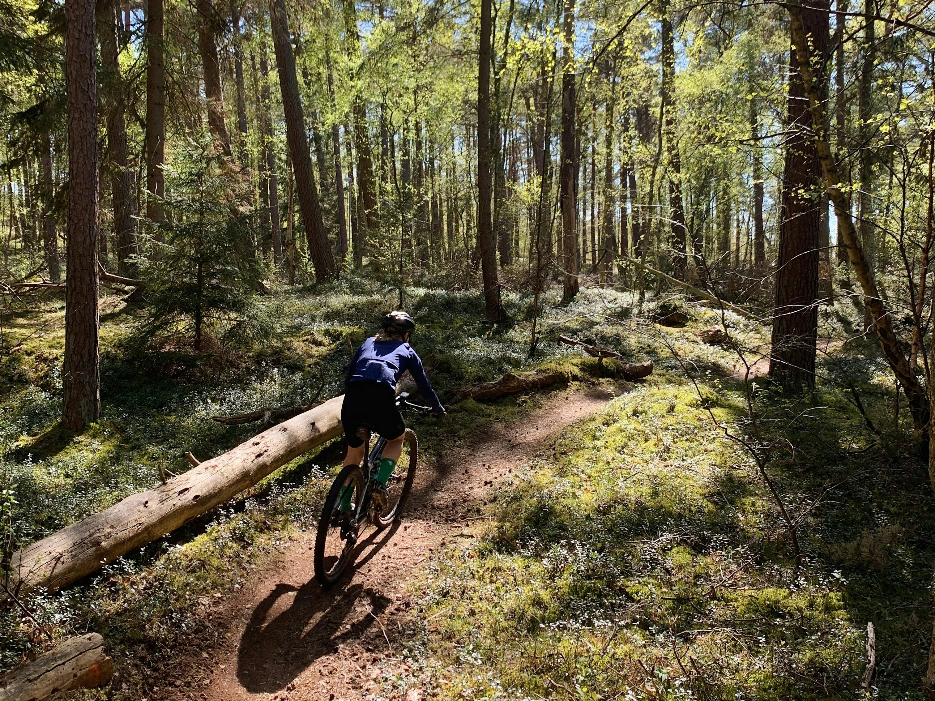 Cyklist på stigarna i hallandsskogen.