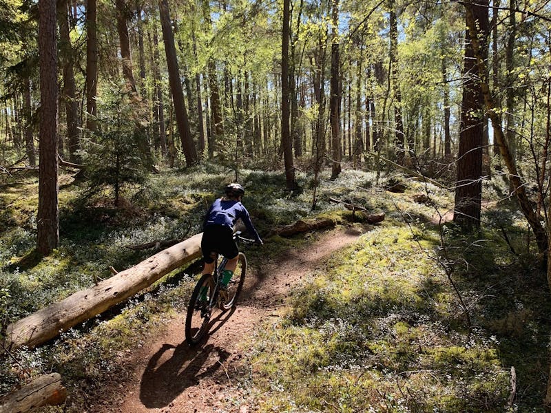 Cyklist på stigarna i hallandsskogen.
