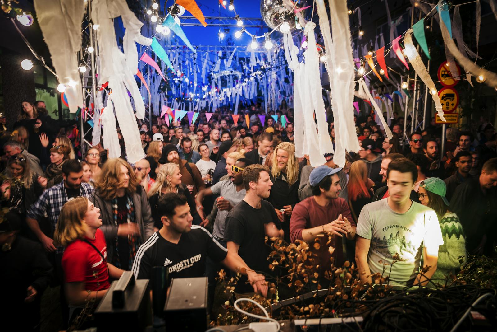 Crowd of people celebrating culture night