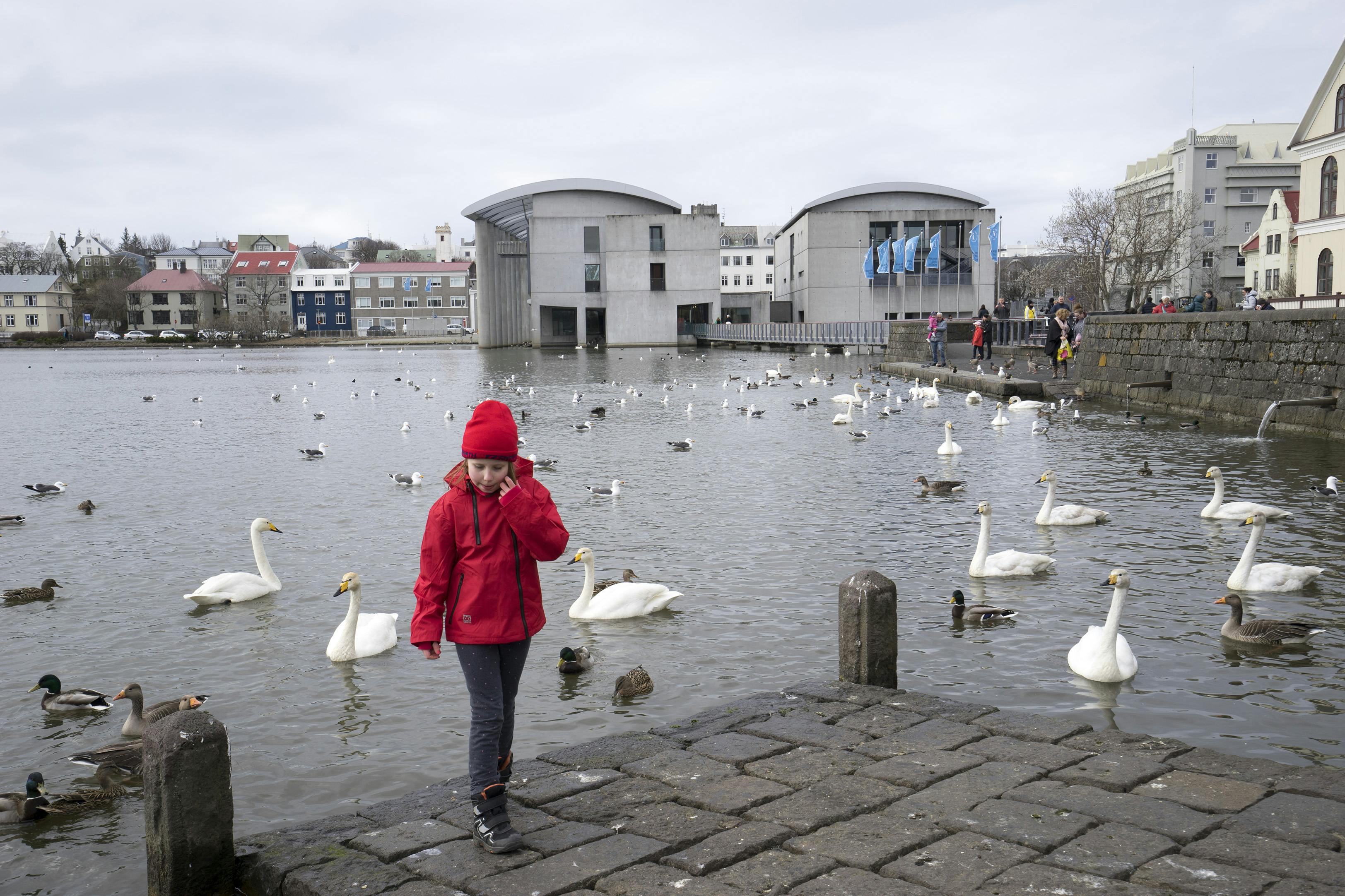 Tjörnin and Reykjavik City Hall