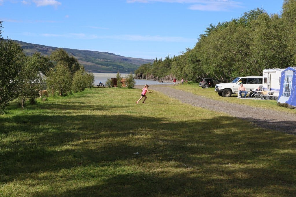 Hallormsstaður forest 