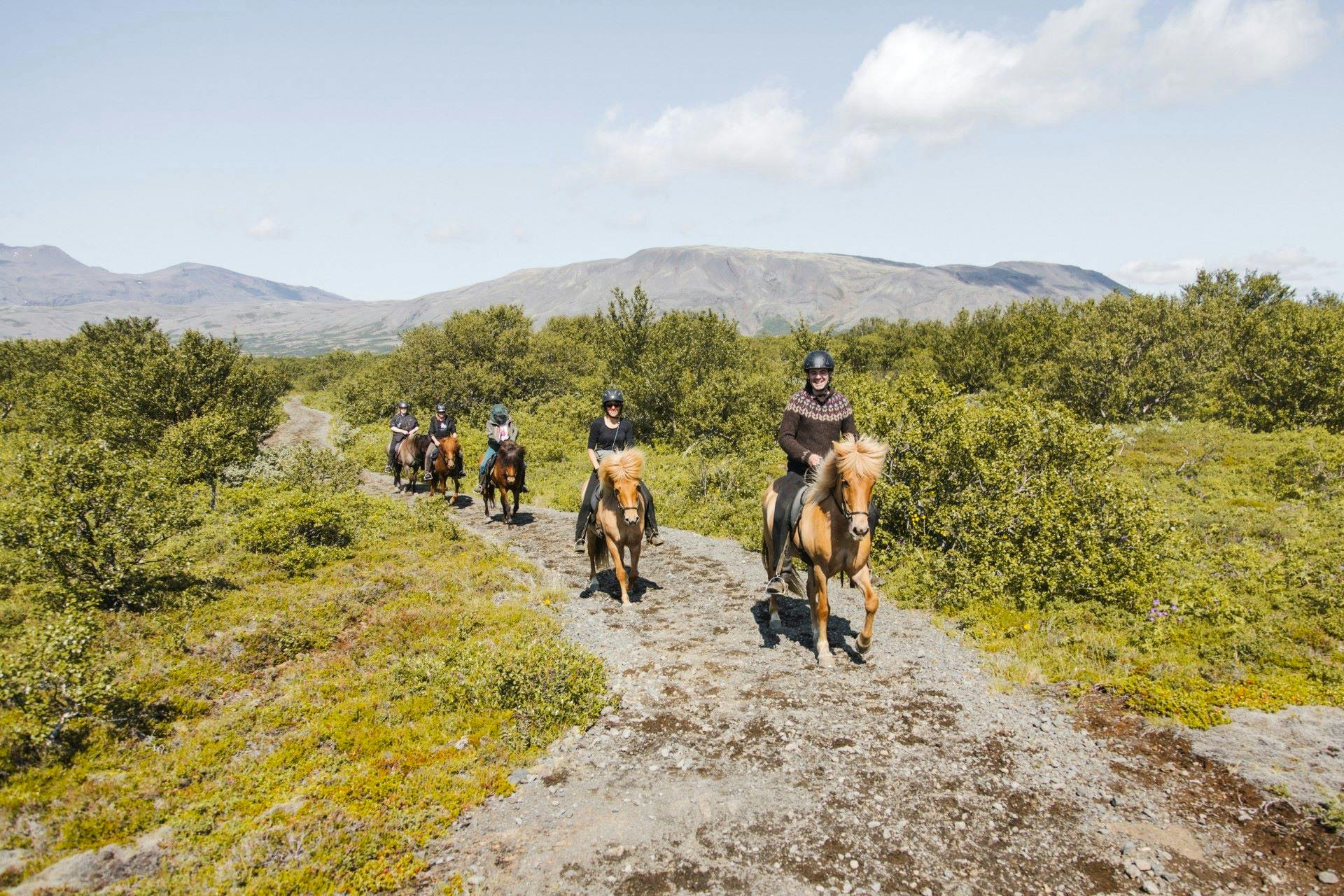 5 riders trotting along a path through green bushes and trees on a sunny day.  Mountains in the background