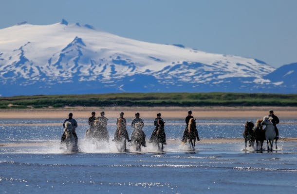 People horse riding with Snaefellsjokull glacier in bakground