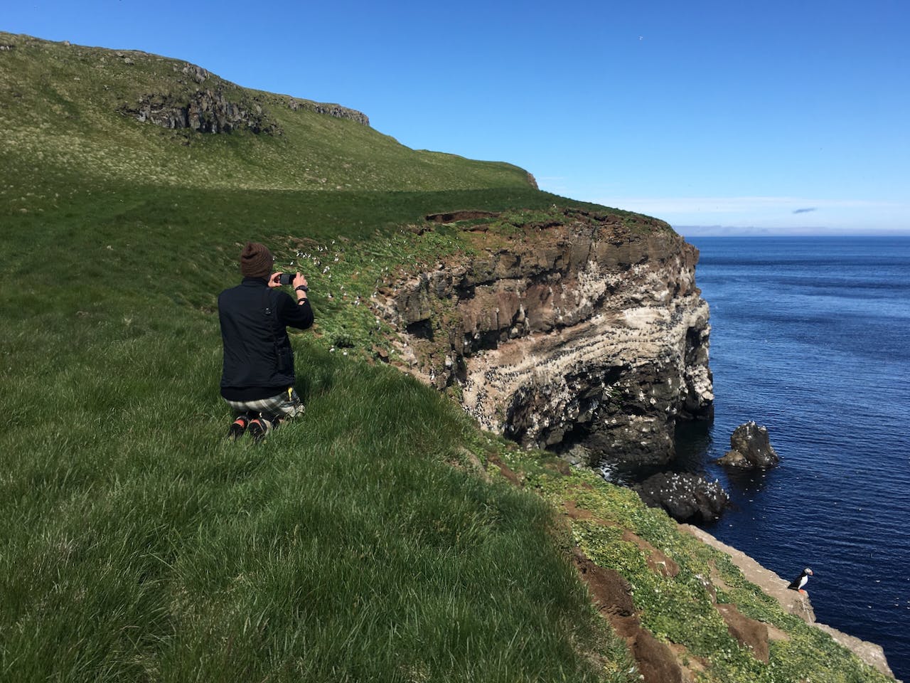 A person watching puffins at a sea cliff full of birds