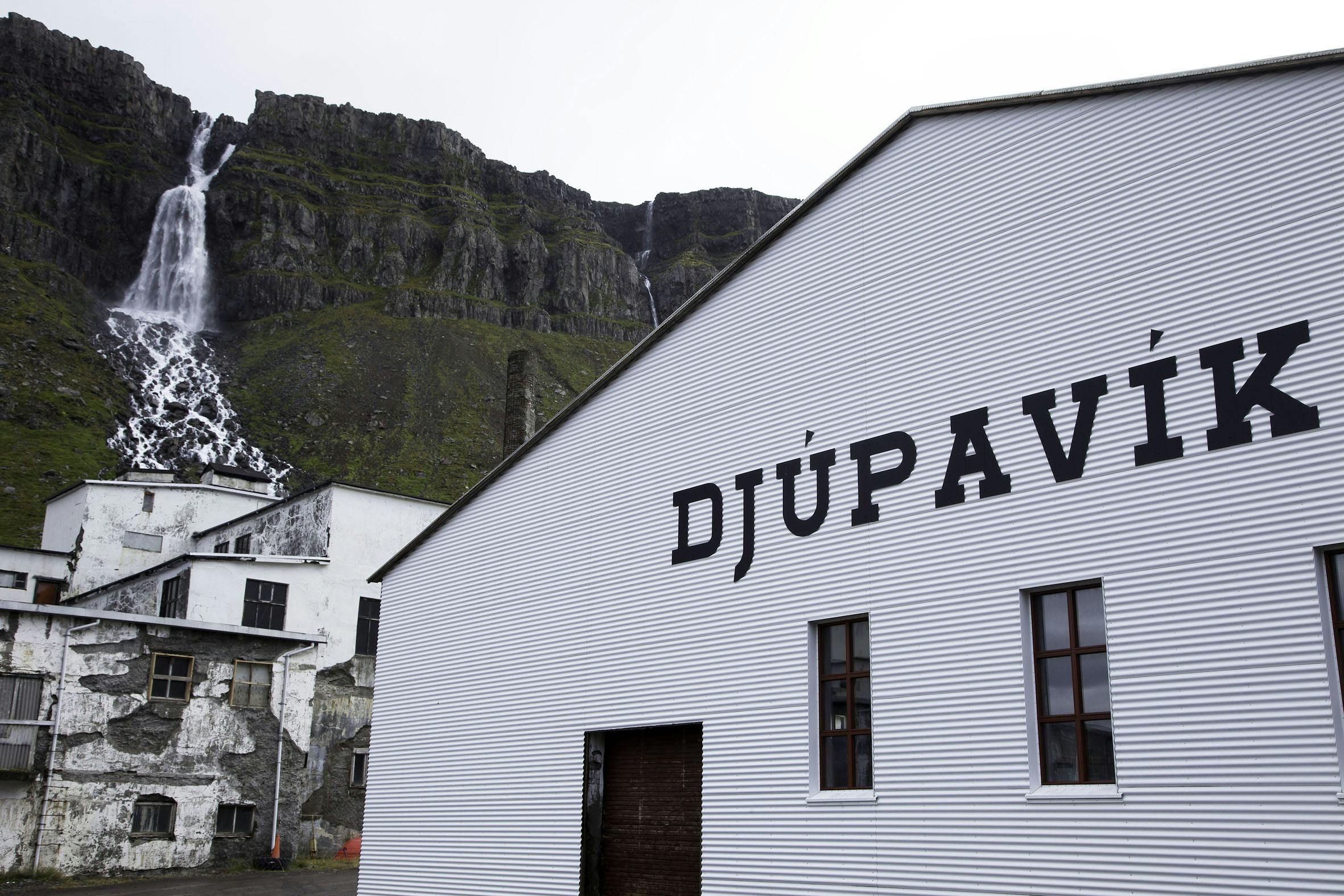 View of a white building and waterfall in the background. The lettering Djúpavík on the factory wall  is visible in the foreground.