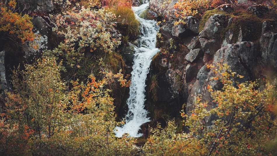 Waterfall in autumn in Iceland