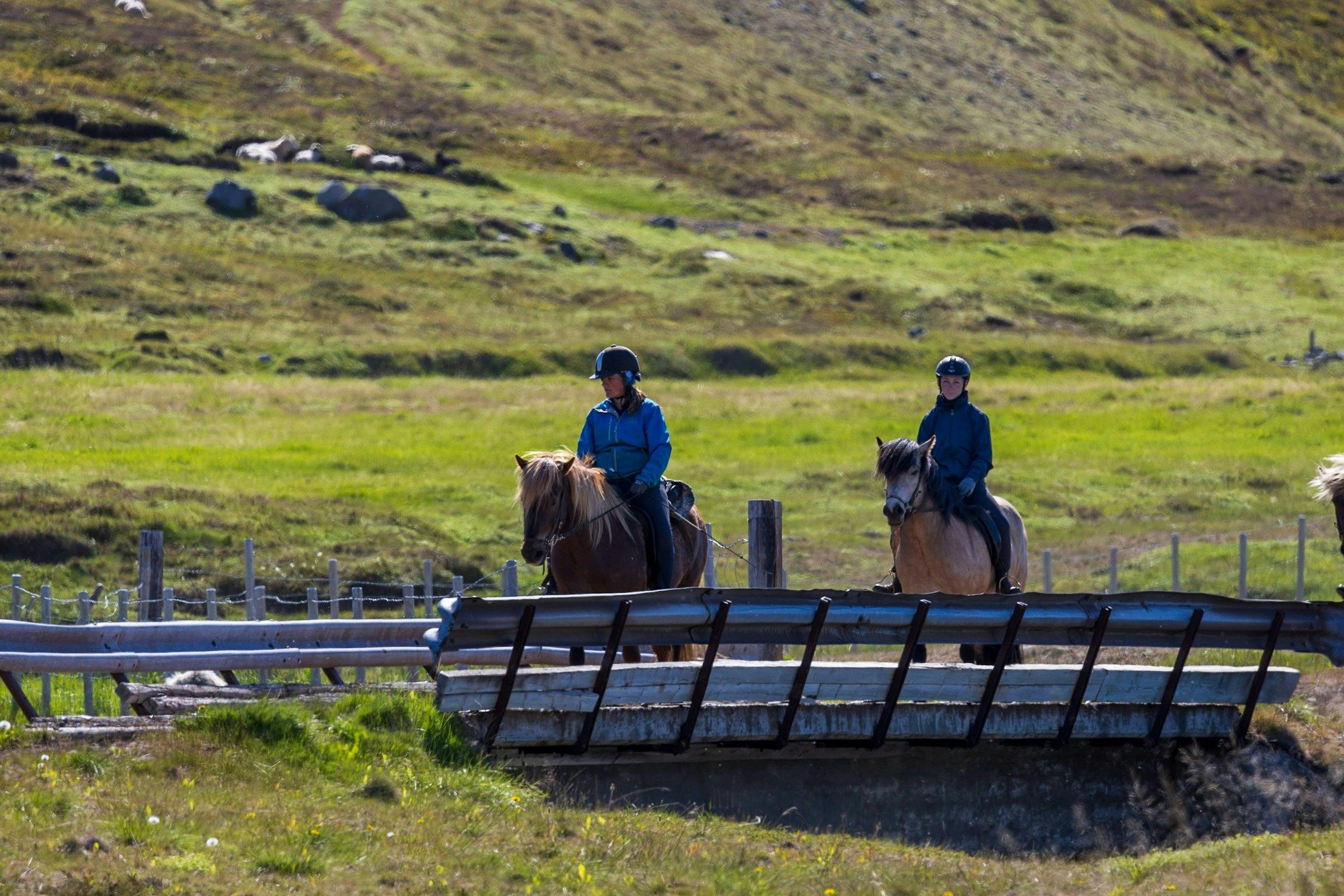 Riding tour in Eyjafjordur