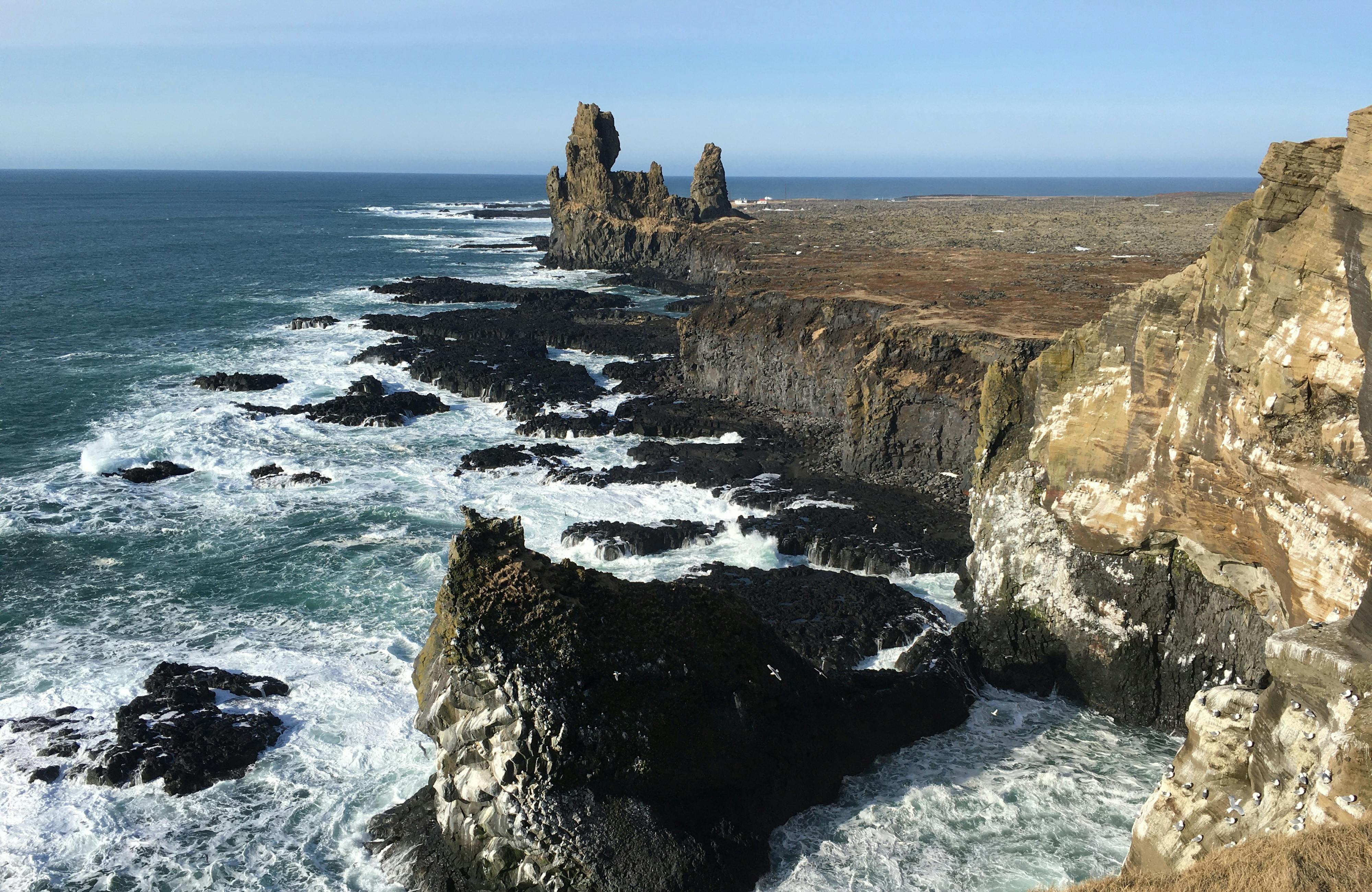 A bird cliff and sea stacks rising from a rugged coastline