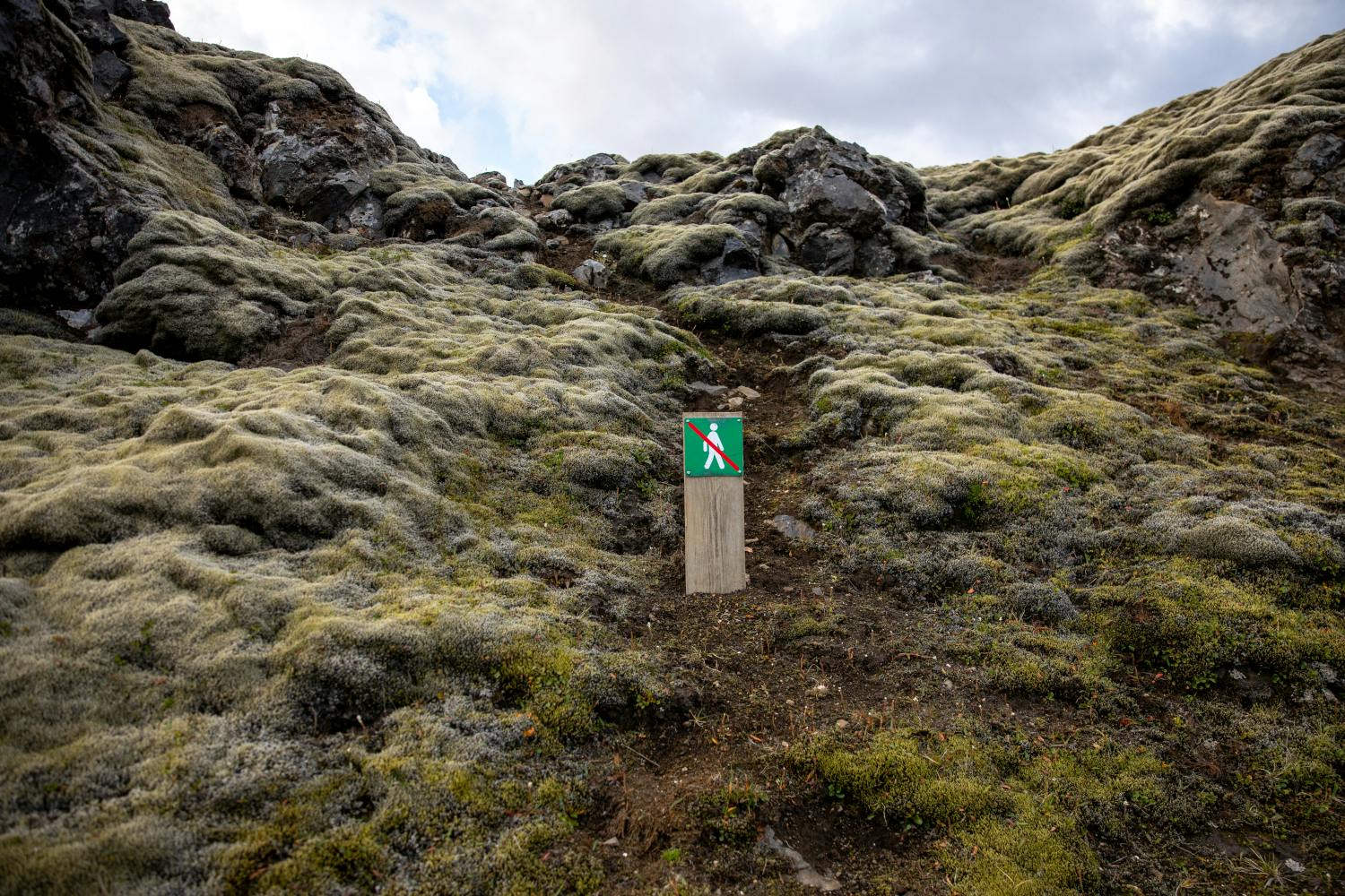 Closed path in a mossy lava field