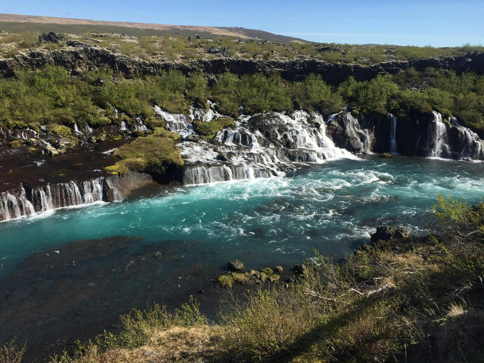 Series of spring waterfalls flowing from under a birch-grown lava into a white-blue colored glacier river