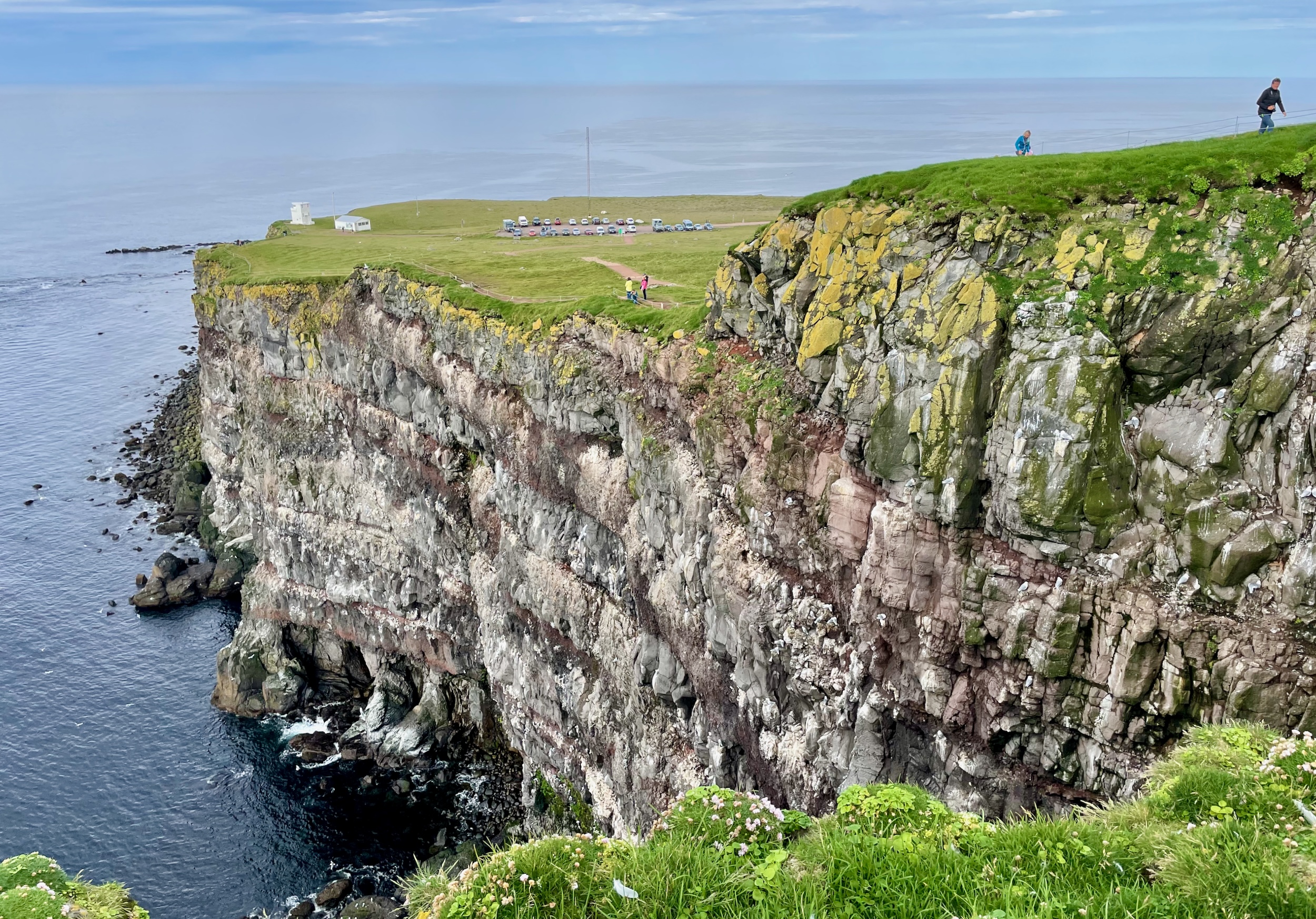 A tall and rising gray lava-layered seacliff with green grass on top.