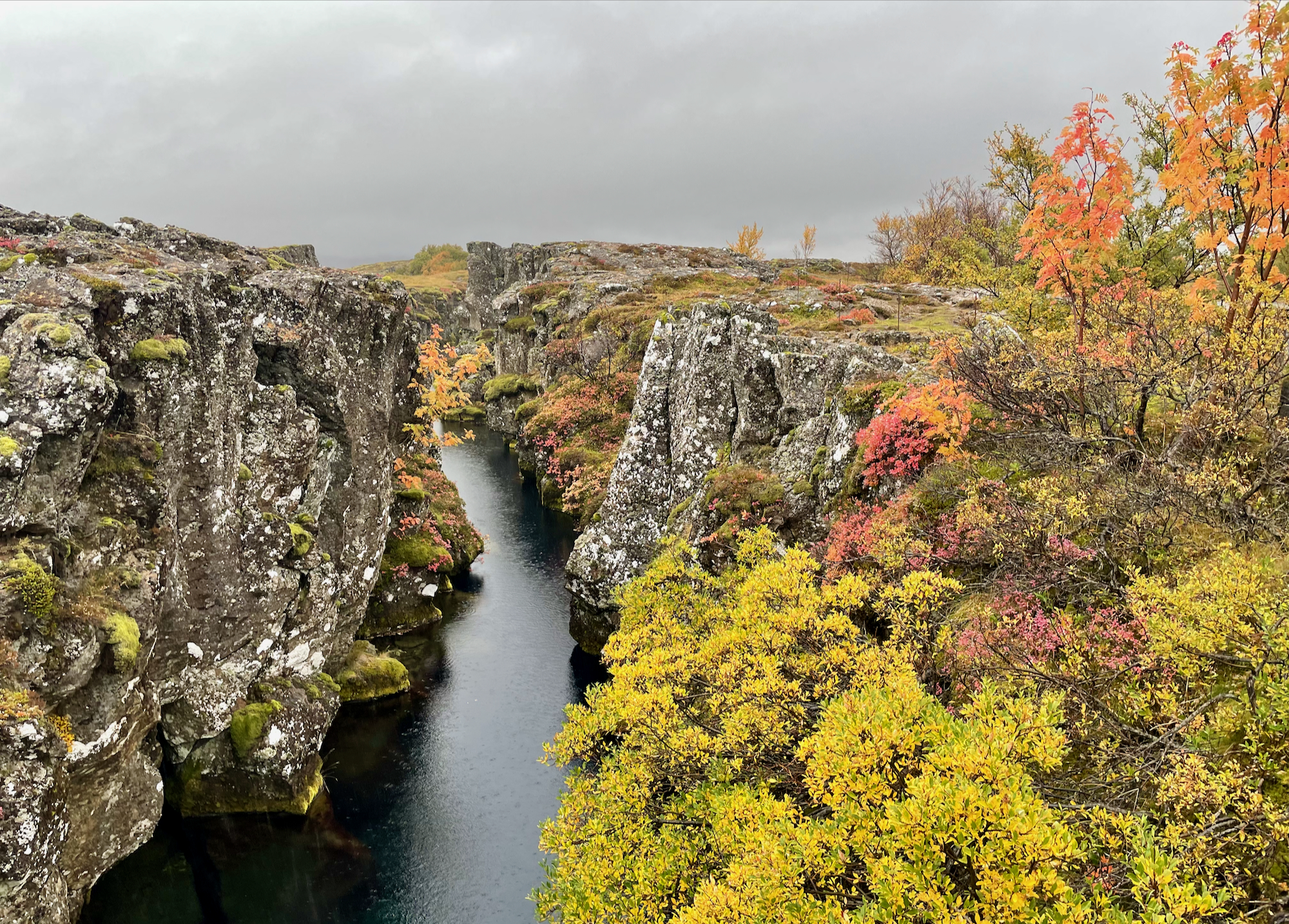 Autumn colors on the banks of a lava fissure filled with water 