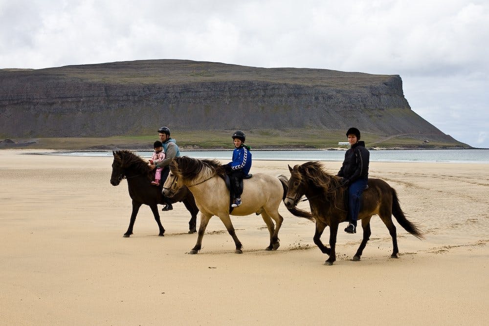 Beach near Patreksfjörður