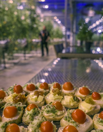 Tomato dishes served inside the geothermally heated greenhouses at Friðheimar in Iceland.