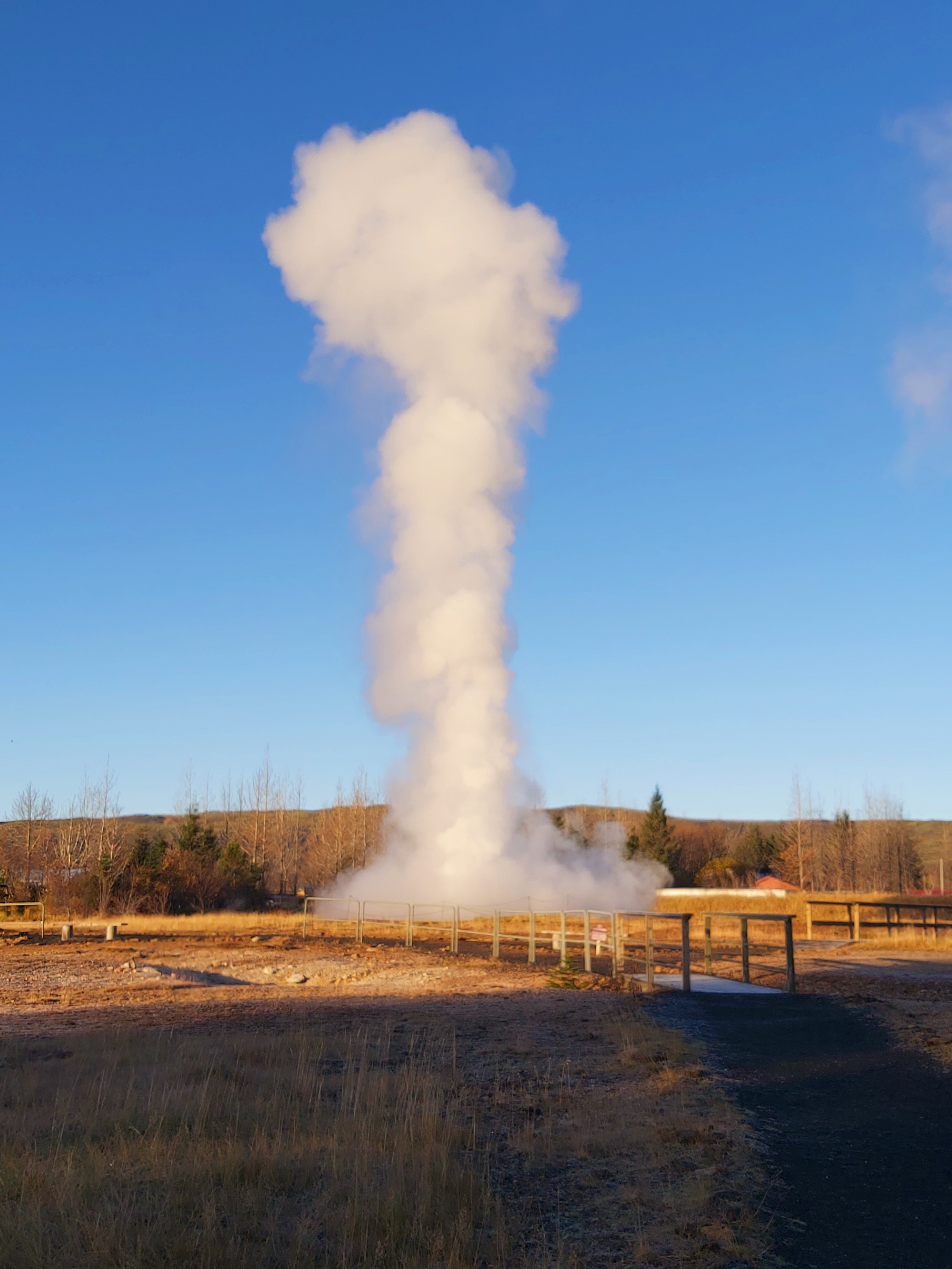Eilífur geyser erupting in Hveragerði, with a high plume of steam rising against a clear blue sky.