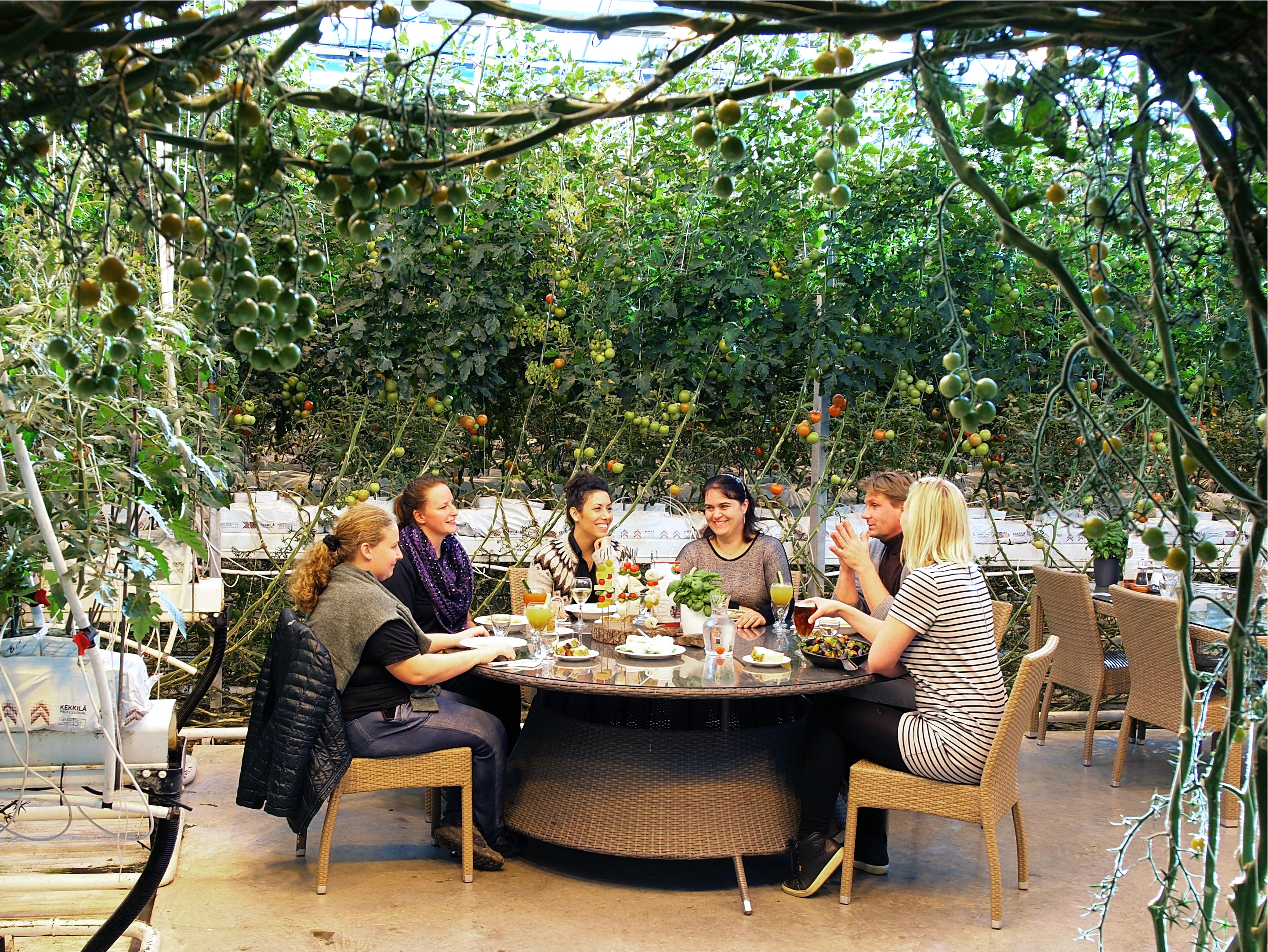 A group of guests enjoying a meal at a round table inside the Friðheimar tomato greenhouse, with tomato vines growing overhead and around them.