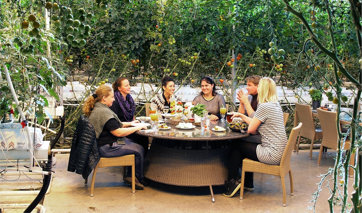 A group of guests enjoying a meal at a round table inside the Friðheimar tomato greenhouse, with tomato vines growing overhead and around them.