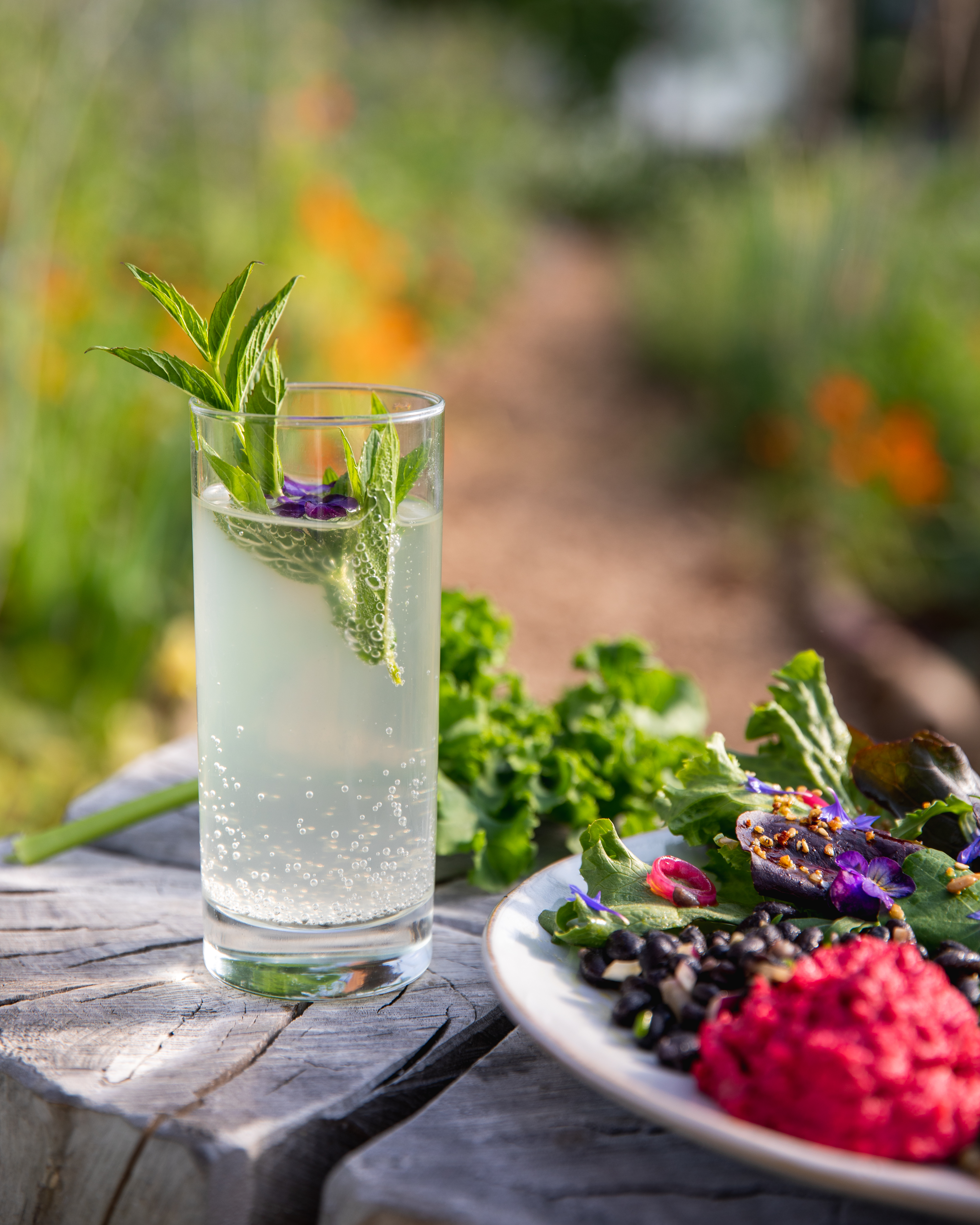 A refreshing drink garnished with herbs and a plate of colorful organic vegetarian food served outdoors at Móðir jörð