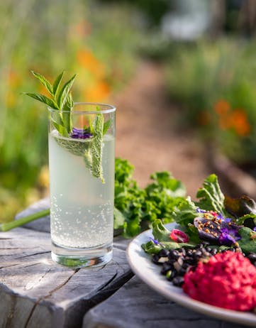 A refreshing drink garnished with herbs and a plate of colorful organic vegetarian food served outdoors at Móðir jörð