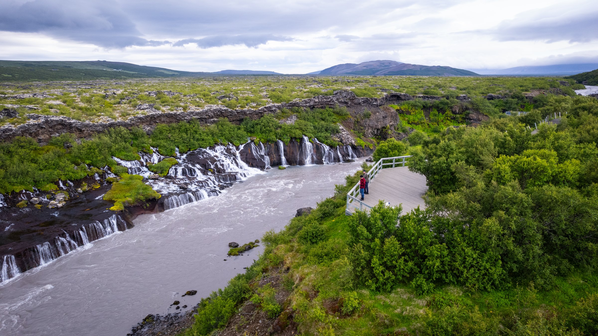 Hraunfossar waterfalls flowing from lava fields into a glacial river, viewed from a wooden observation platform surrounded by green vegetation
